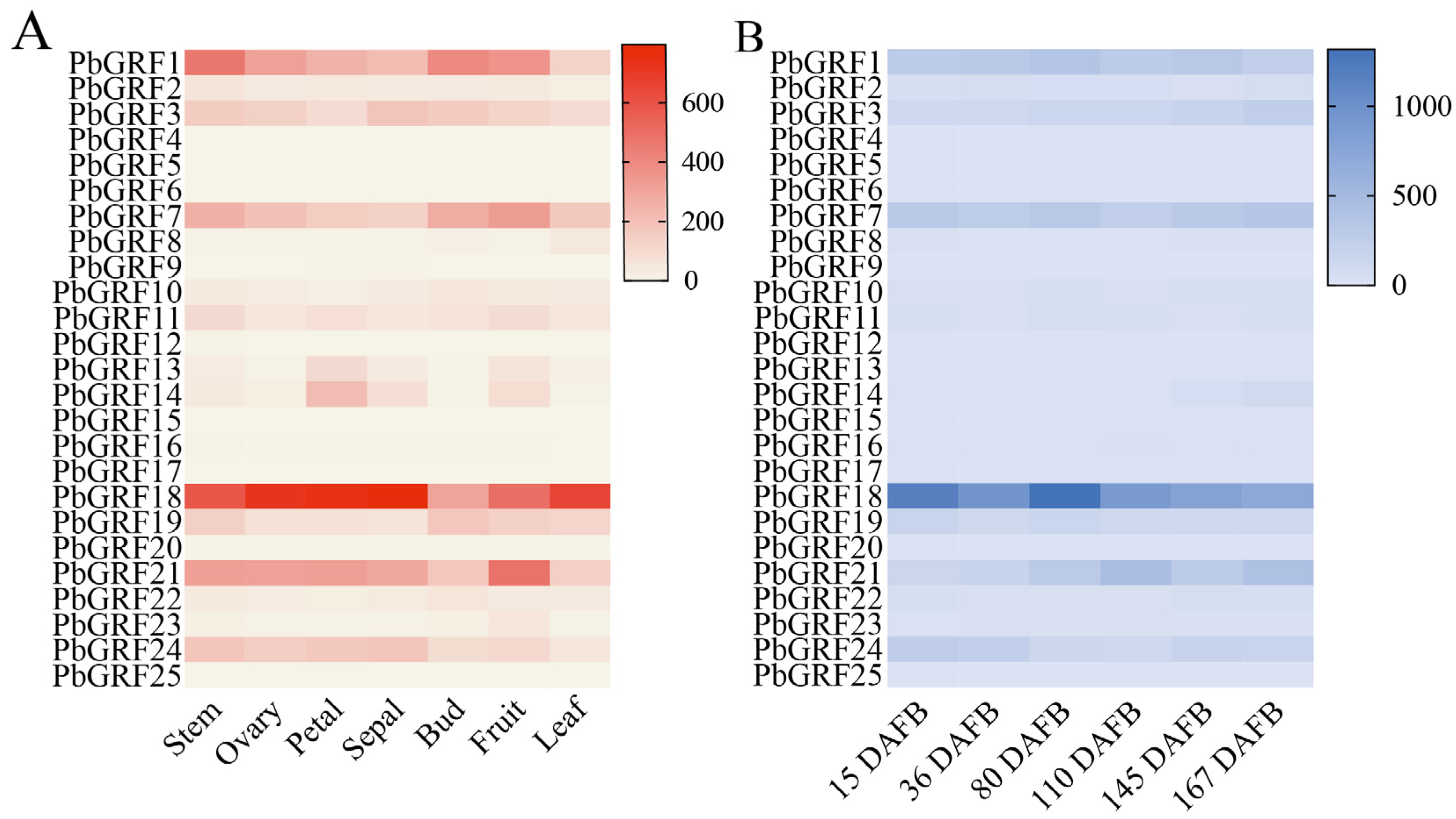 Ijms 24 14690 g005 Ijms 24 14690 g005
