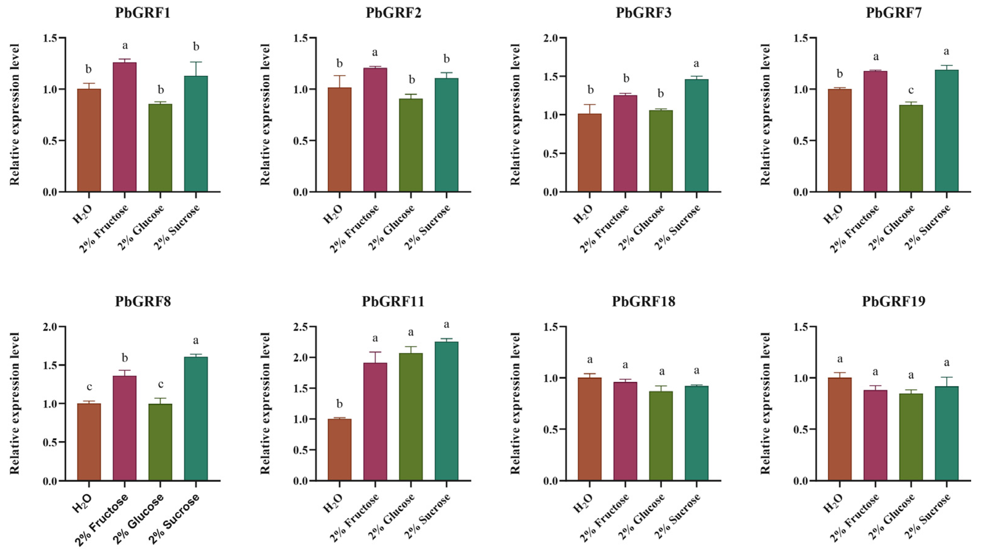 Ijms 24 14690 g007 Ijms 24 14690 g007