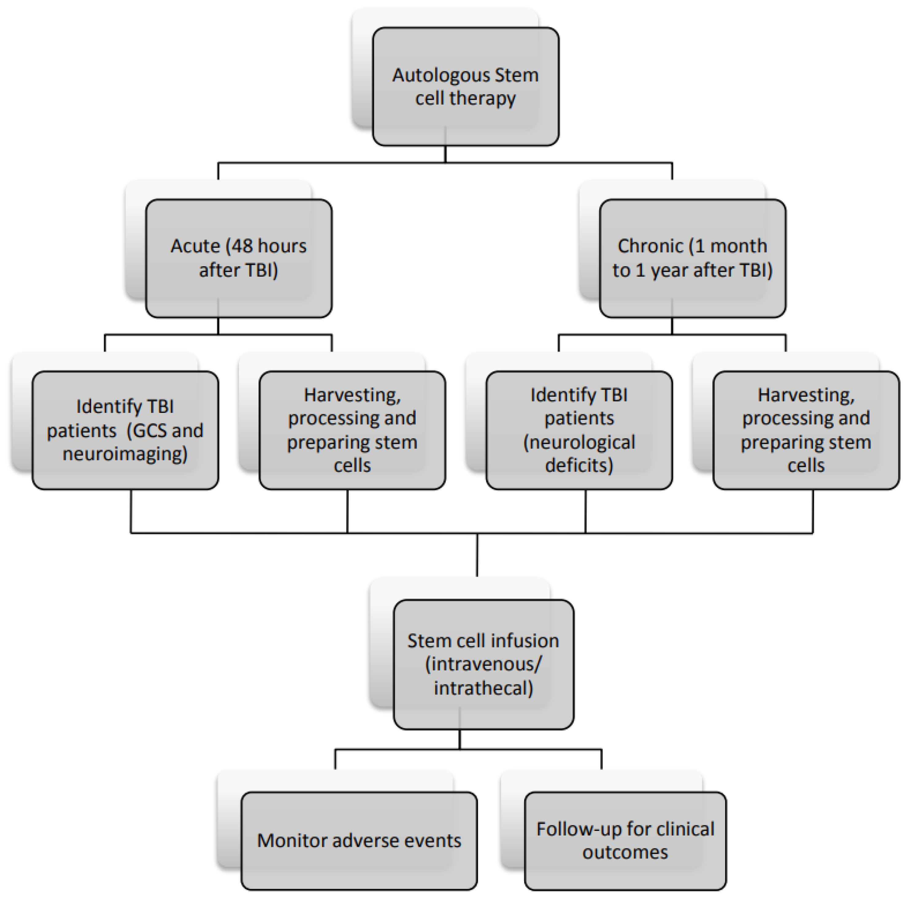 Ijms 24 14706 g003 Ijms 24 14706 g003