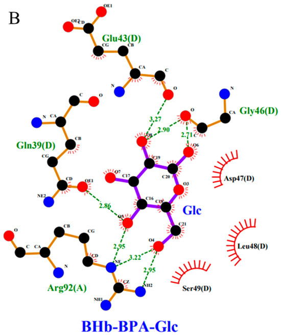 03 Modulating autophagy in the tumor microenvironment with a