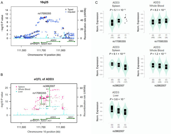 Contribution of ADD3 and the HLA Genes to Biliary Atresia Risk in Chinese