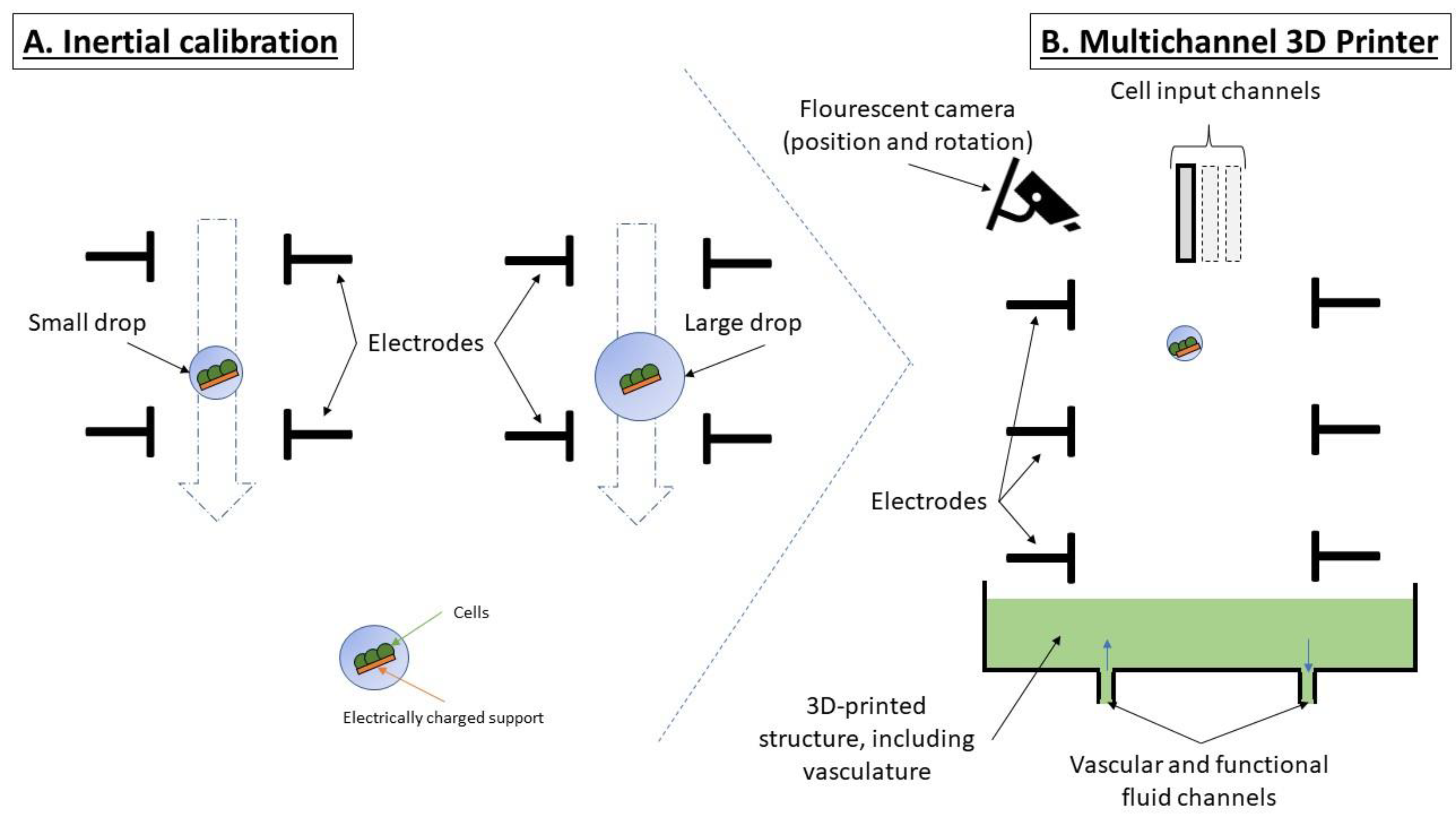 Ijms 24 14722 g002 Ijms 24 14722 g002