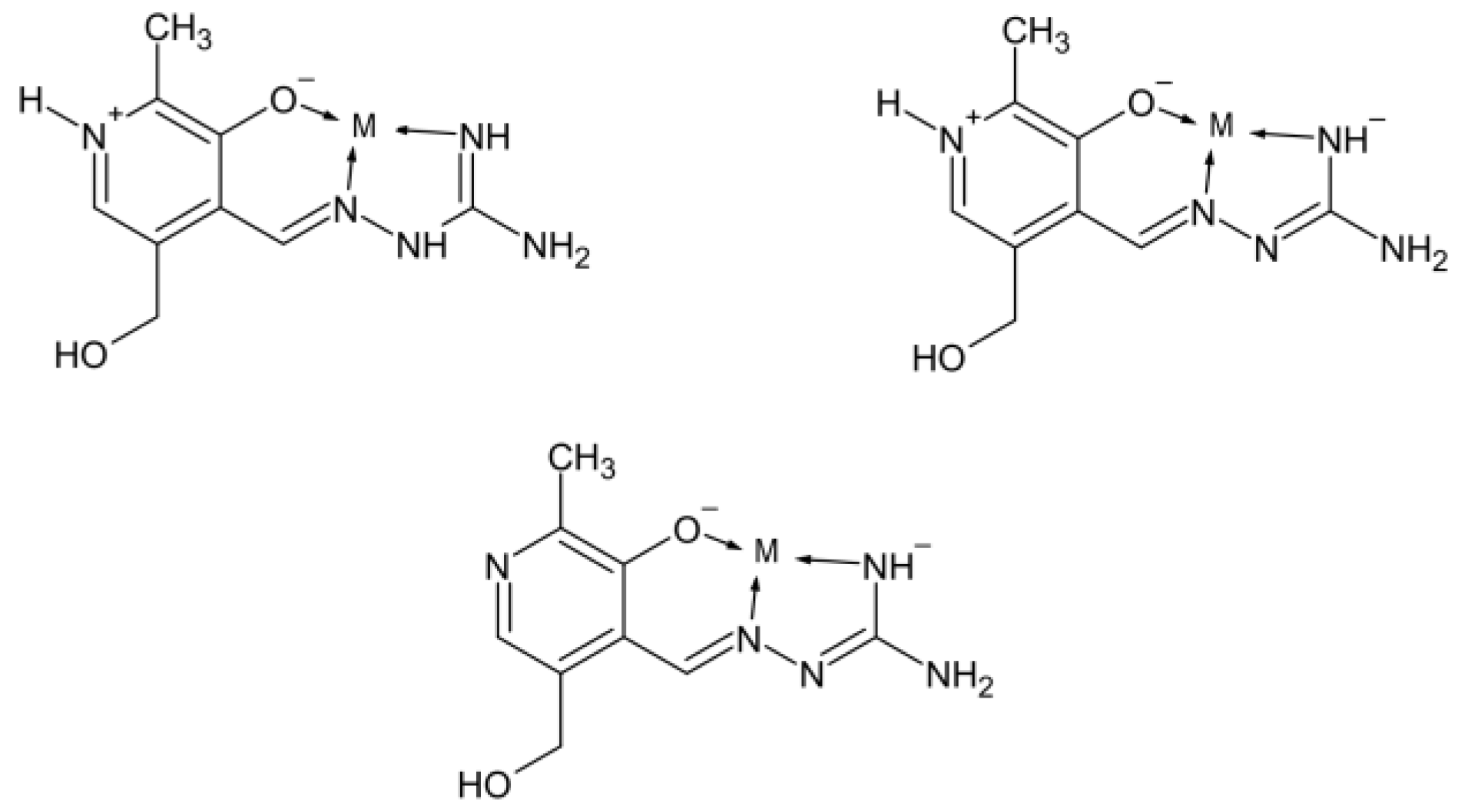 Ijms 24 14745 g002 Ijms 24 14745 g002