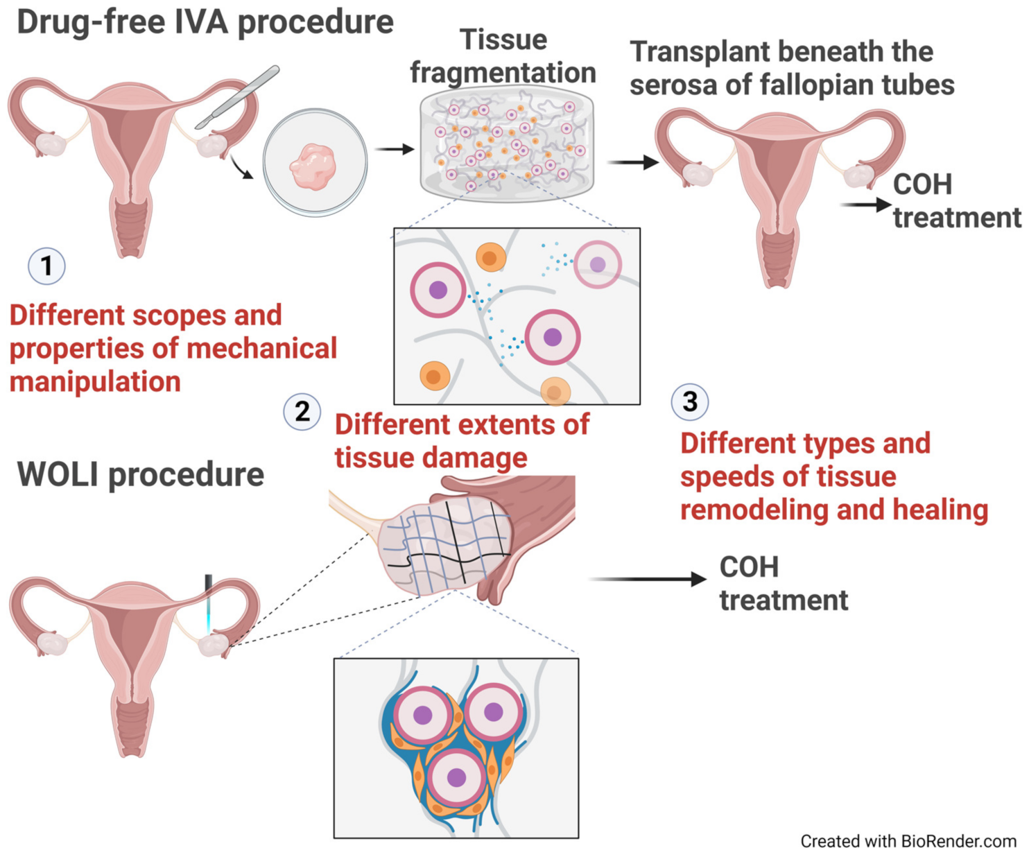 Ijms 24 14751 g002 Ijms 24 14751 g002