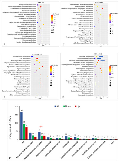 Integrated Transcriptome and Metabolome Analysis Reveals the