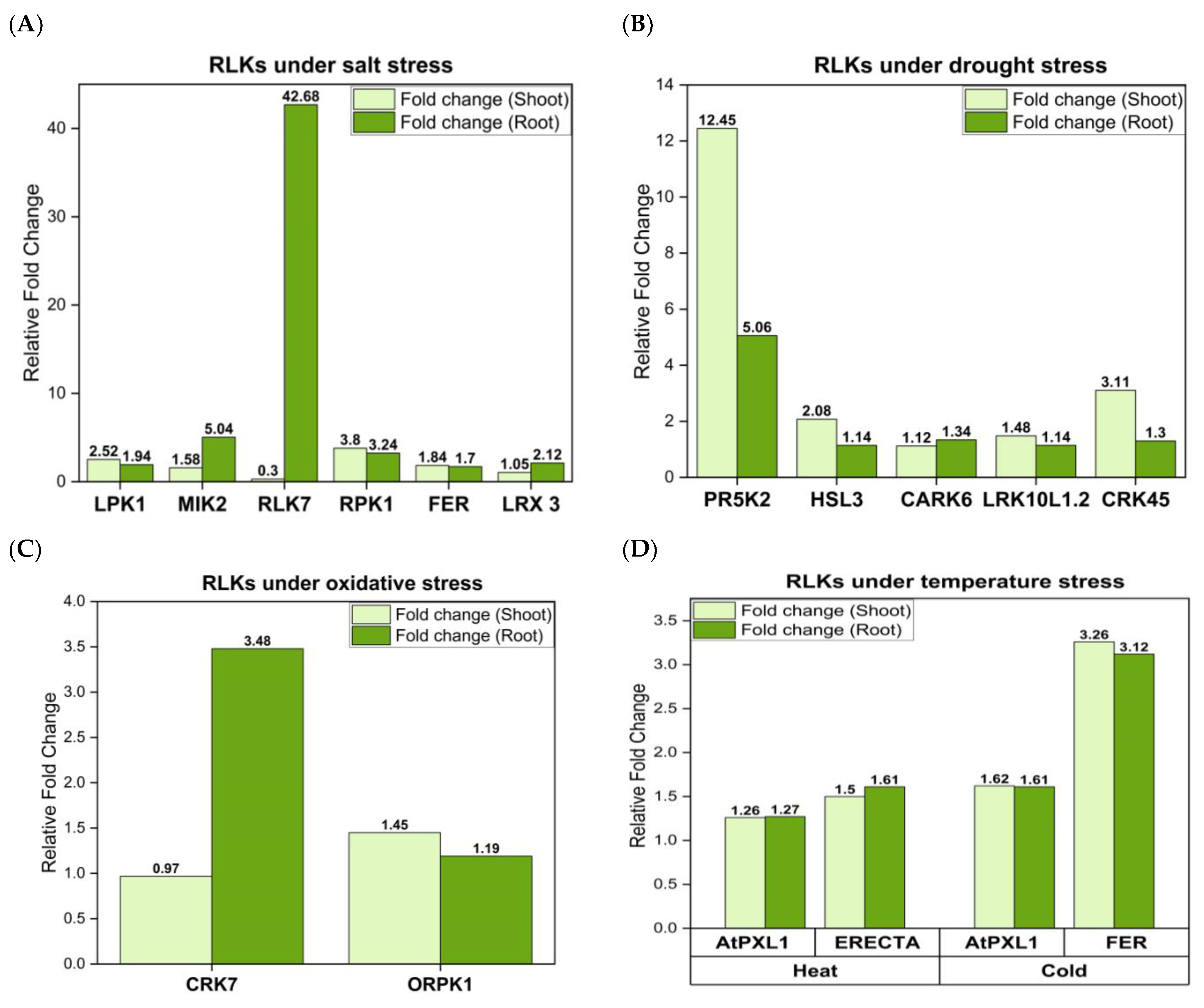 Ijms 24 14762 g002 Ijms 24 14762 g002
