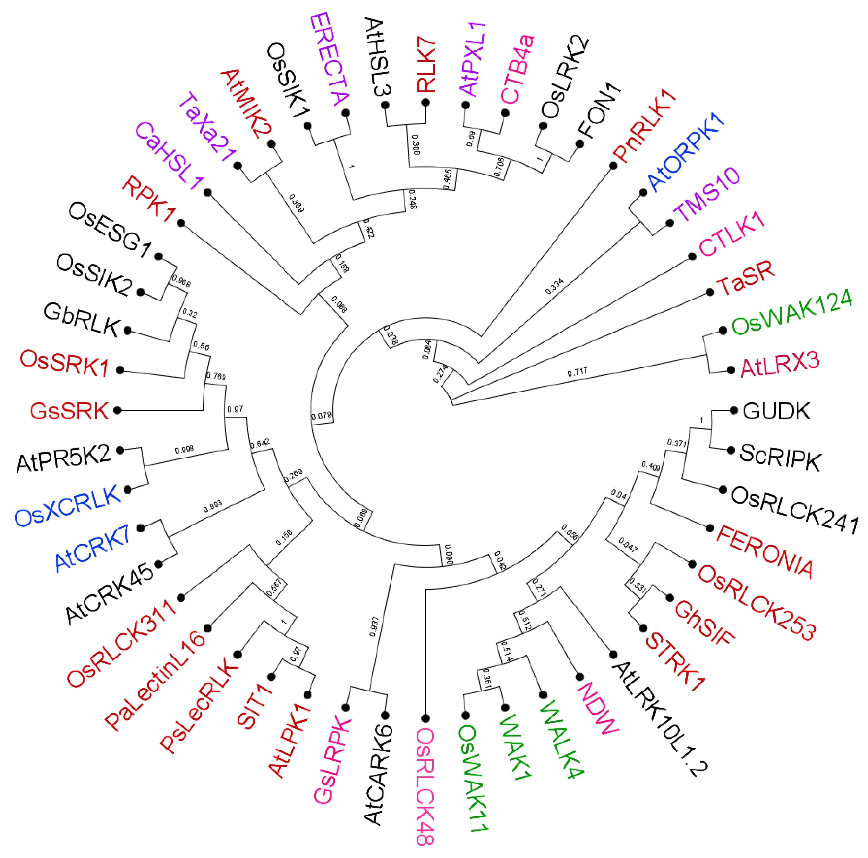 Ijms 24 14762 g003 Ijms 24 14762 g003