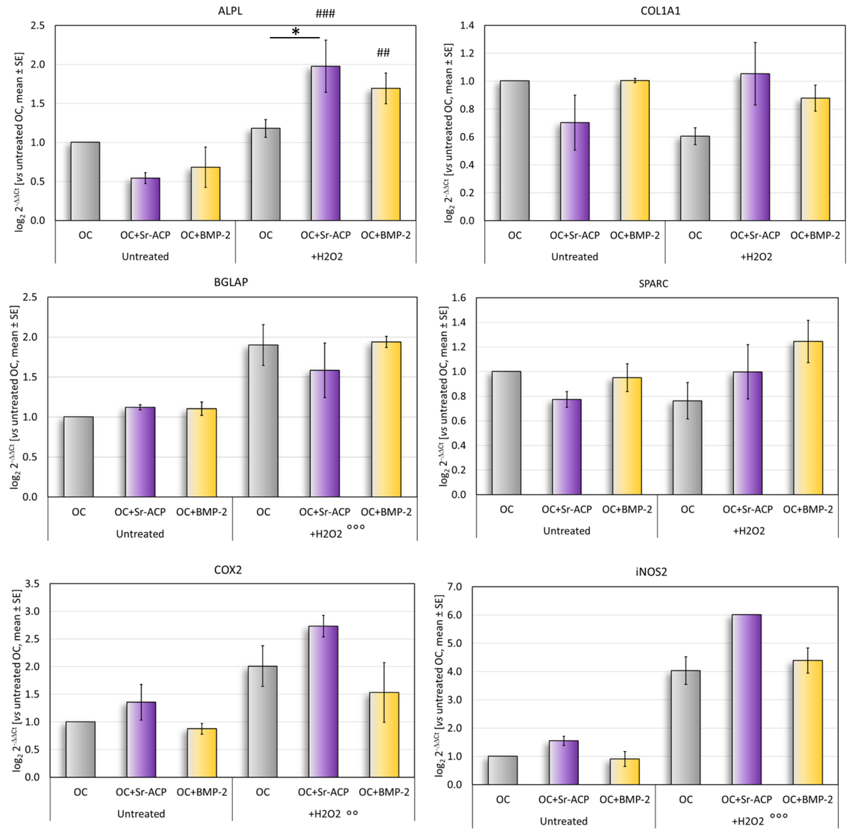 Ijms 24 14764 g004 Ijms 24 14764 g004