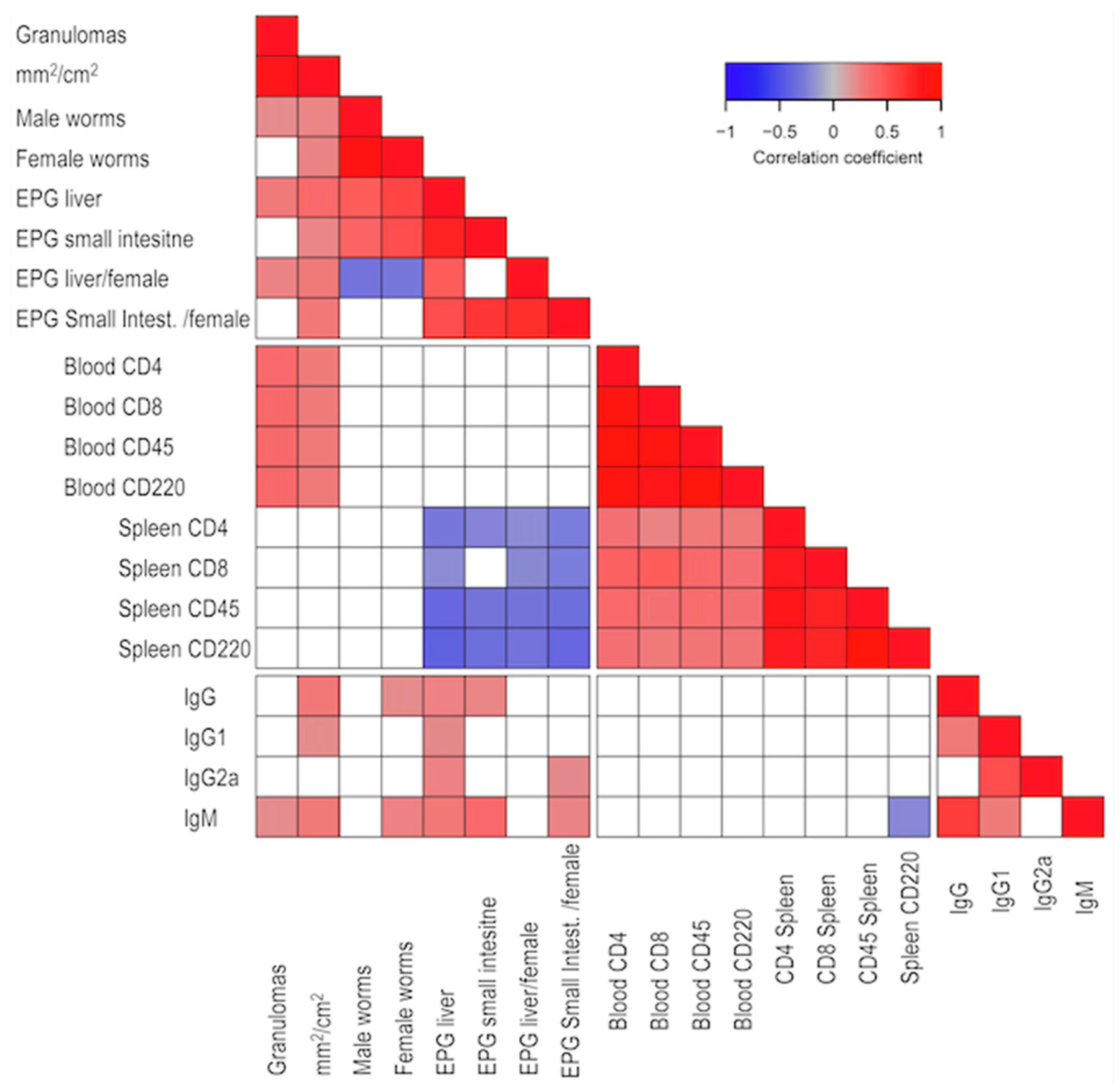 Ijms 24 14768 g001 Ijms 24 14768 g001