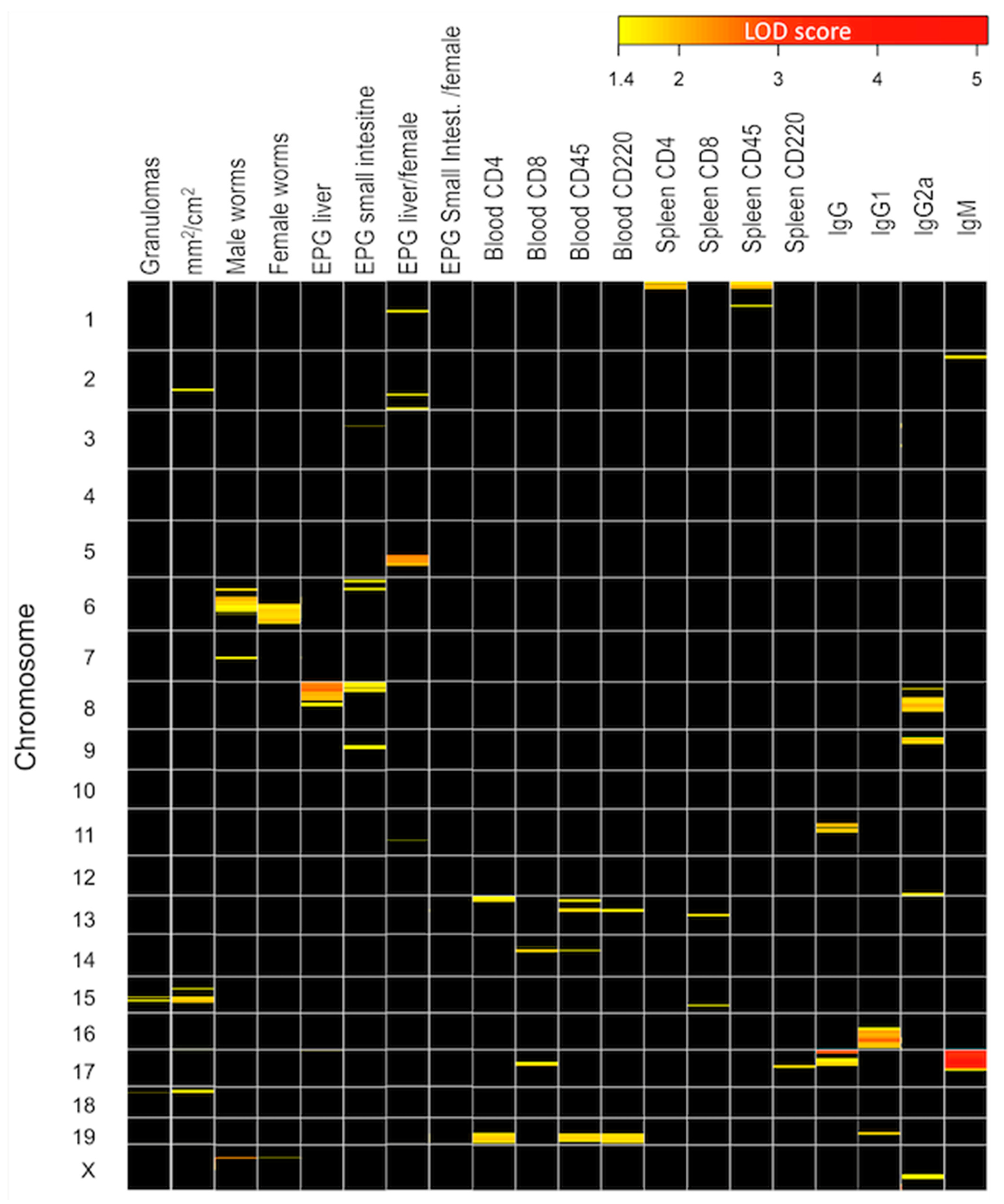 Ijms 24 14768 g005 Ijms 24 14768 g005