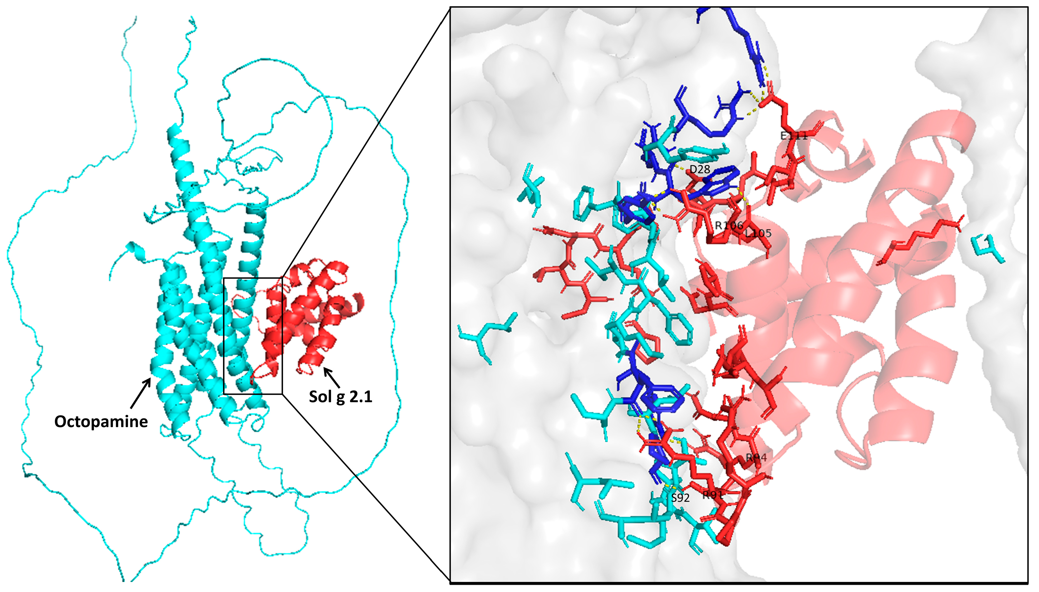Ijms 24 14814 g007 Ijms 24 14814 g007