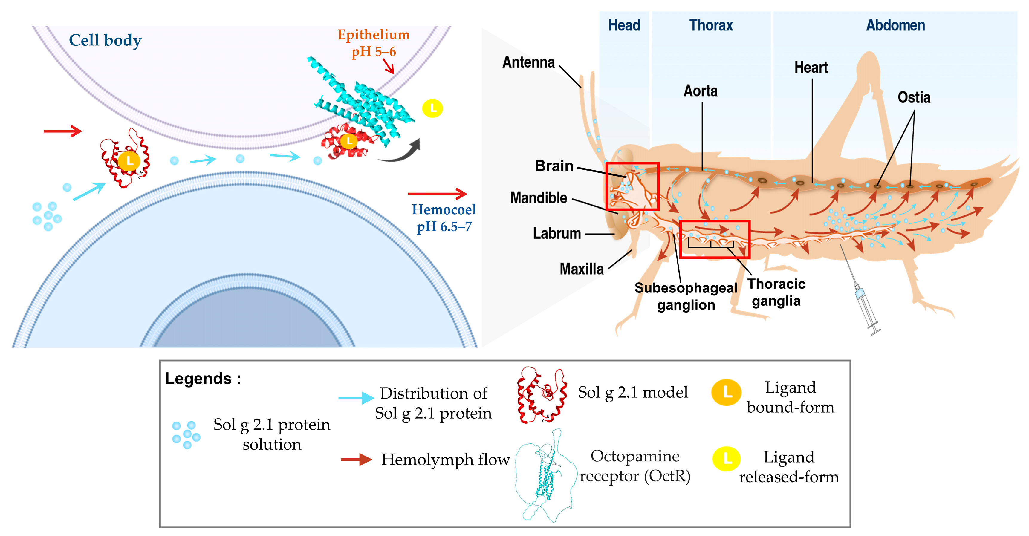 Ijms 24 14814 g008 Ijms 24 14814 g008
