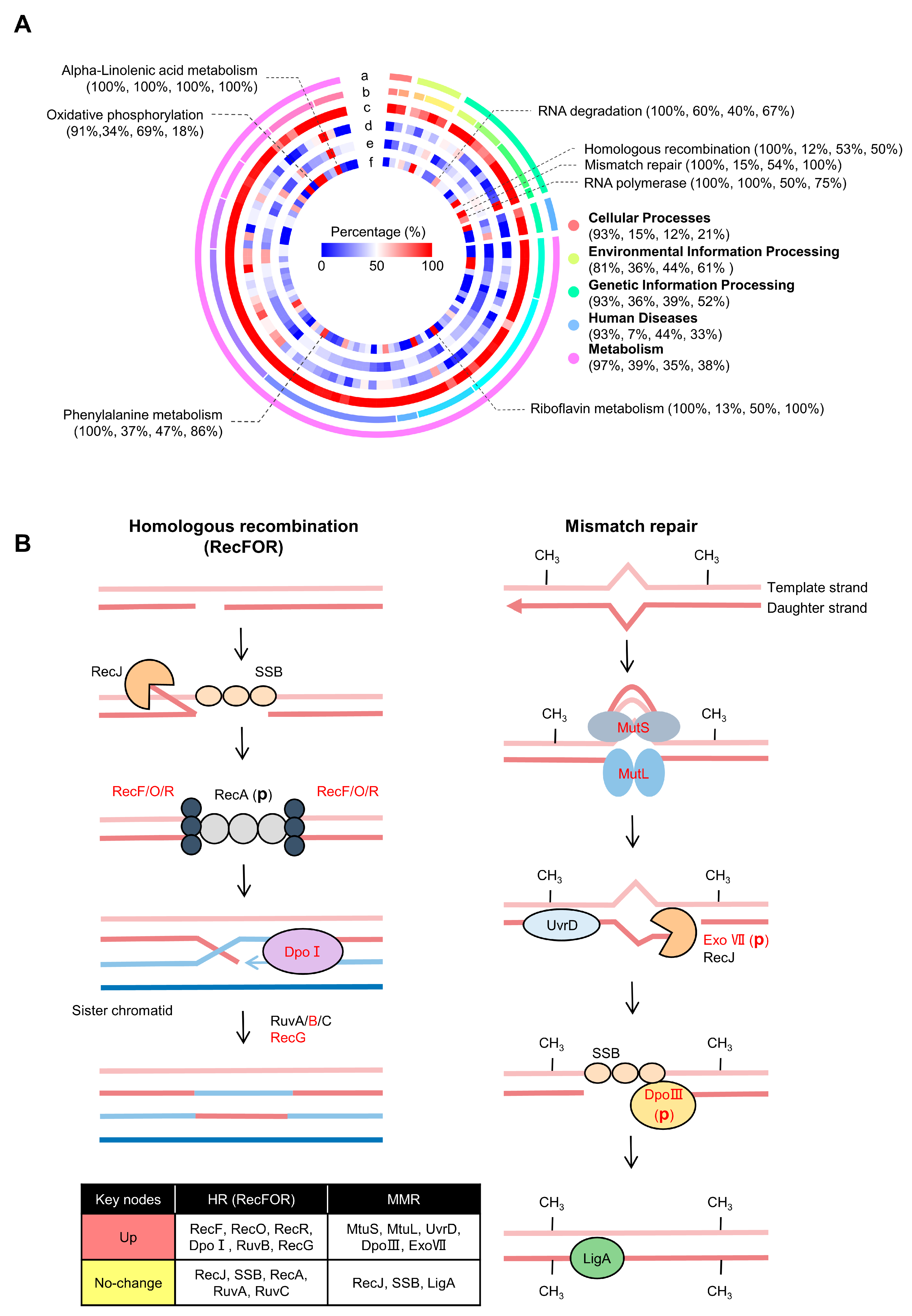 Ijms 24 14817 g003 Ijms 24 14817 g003