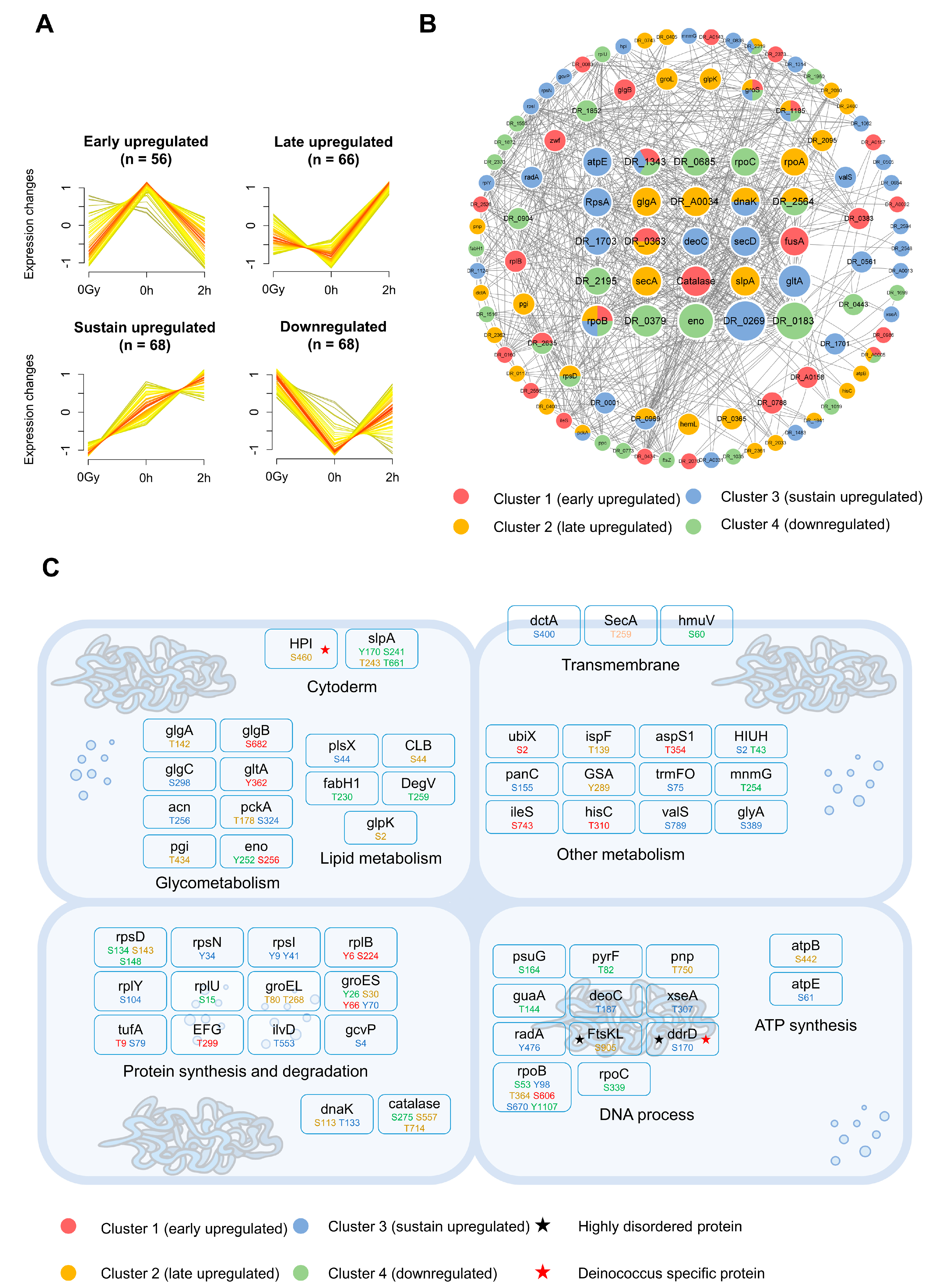 Ijms 24 14817 g004 Ijms 24 14817 g004