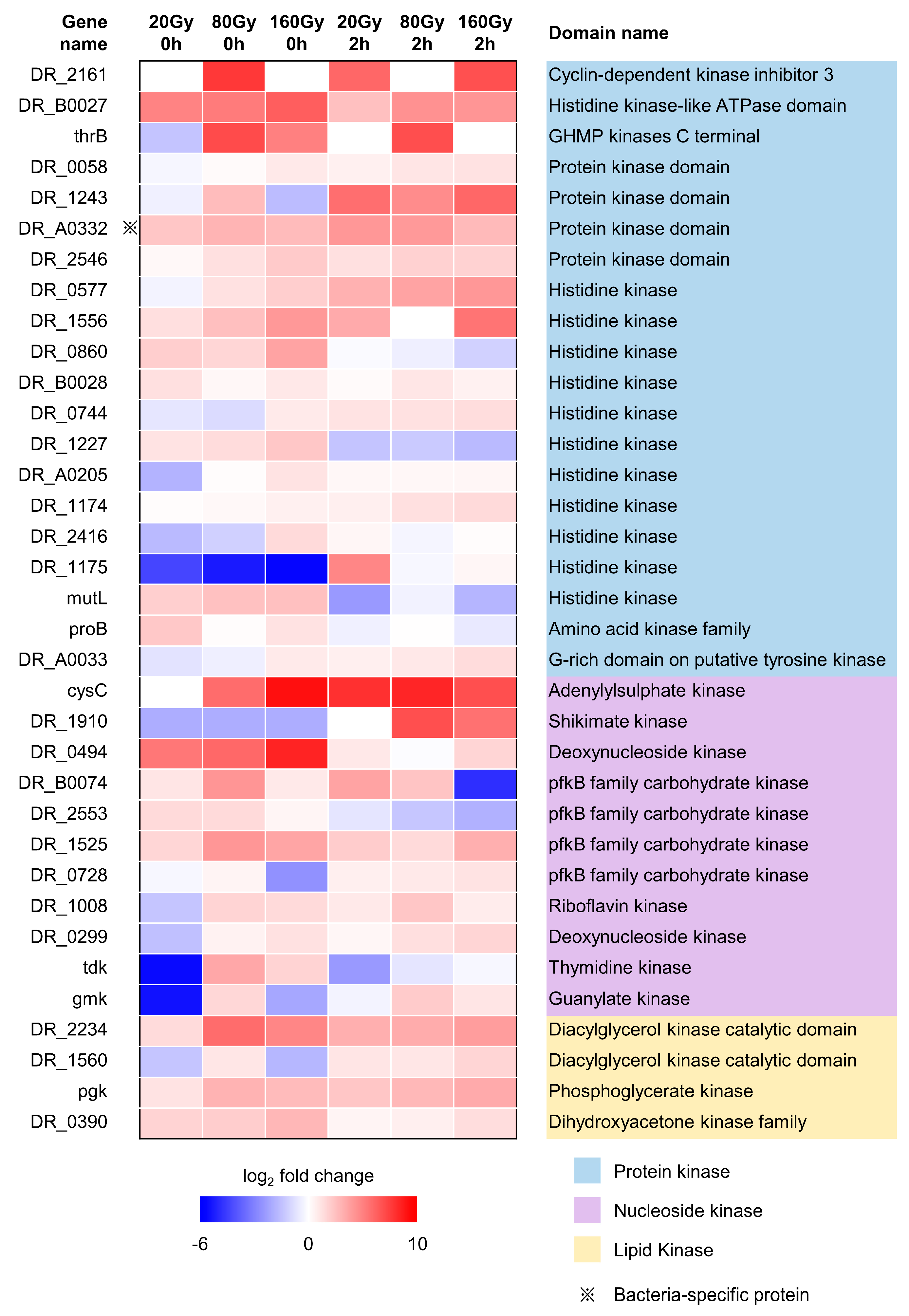 Ijms 24 14817 g006 Ijms 24 14817 g006