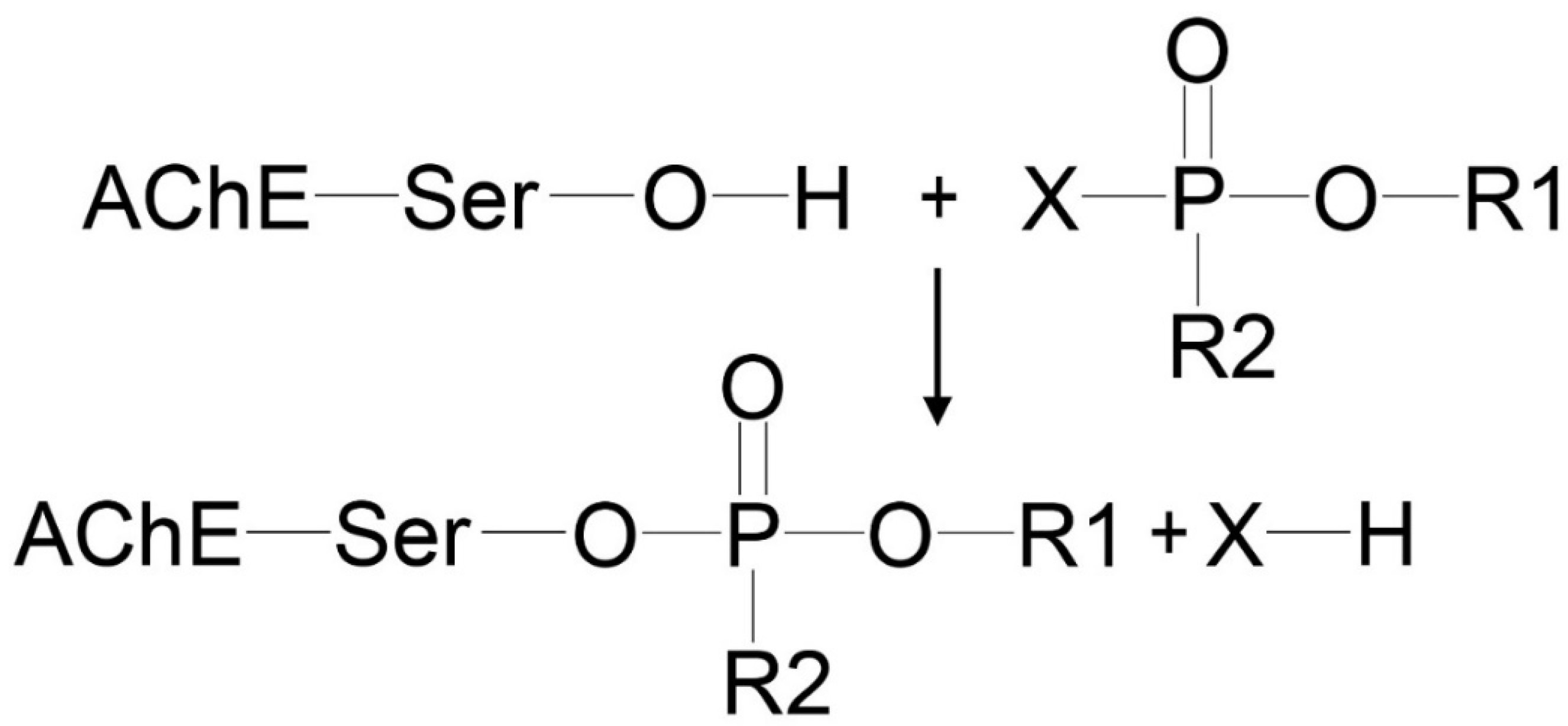 Ijms 24 14819 g001 Ijms 24 14819 g001