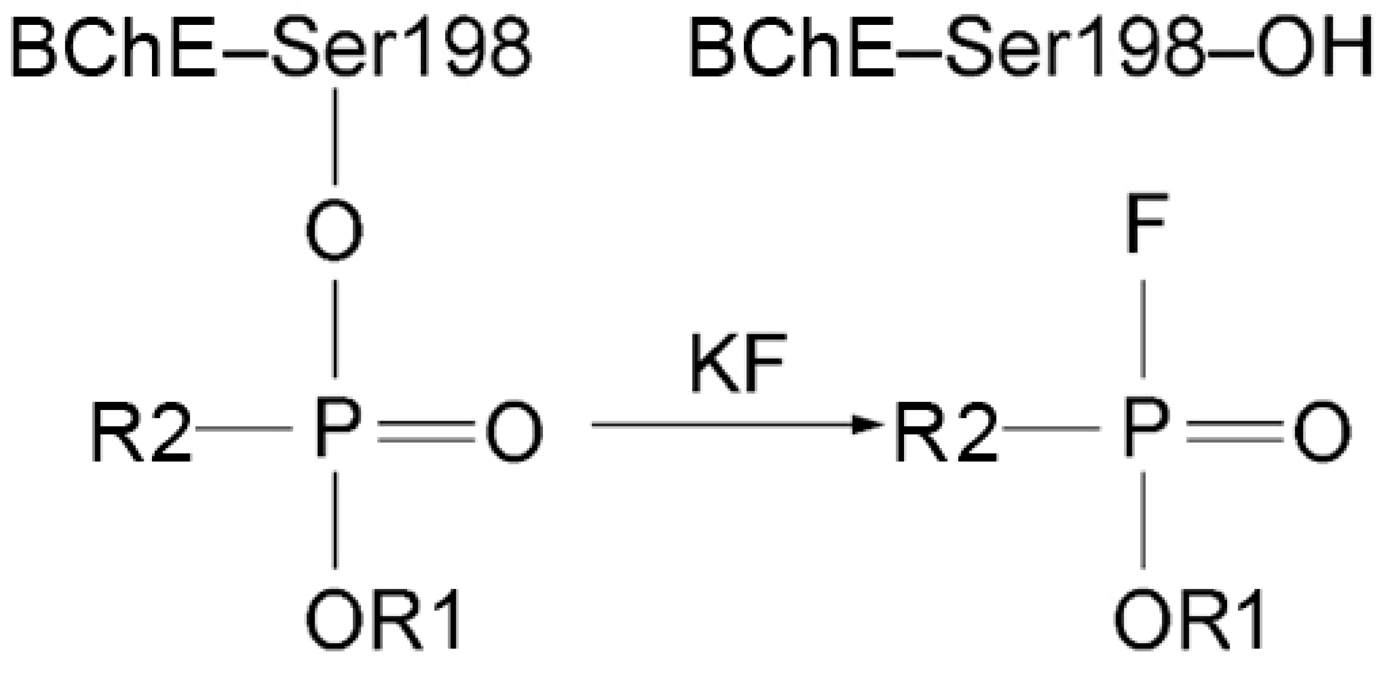 Ijms 24 14819 g002 Ijms 24 14819 g002