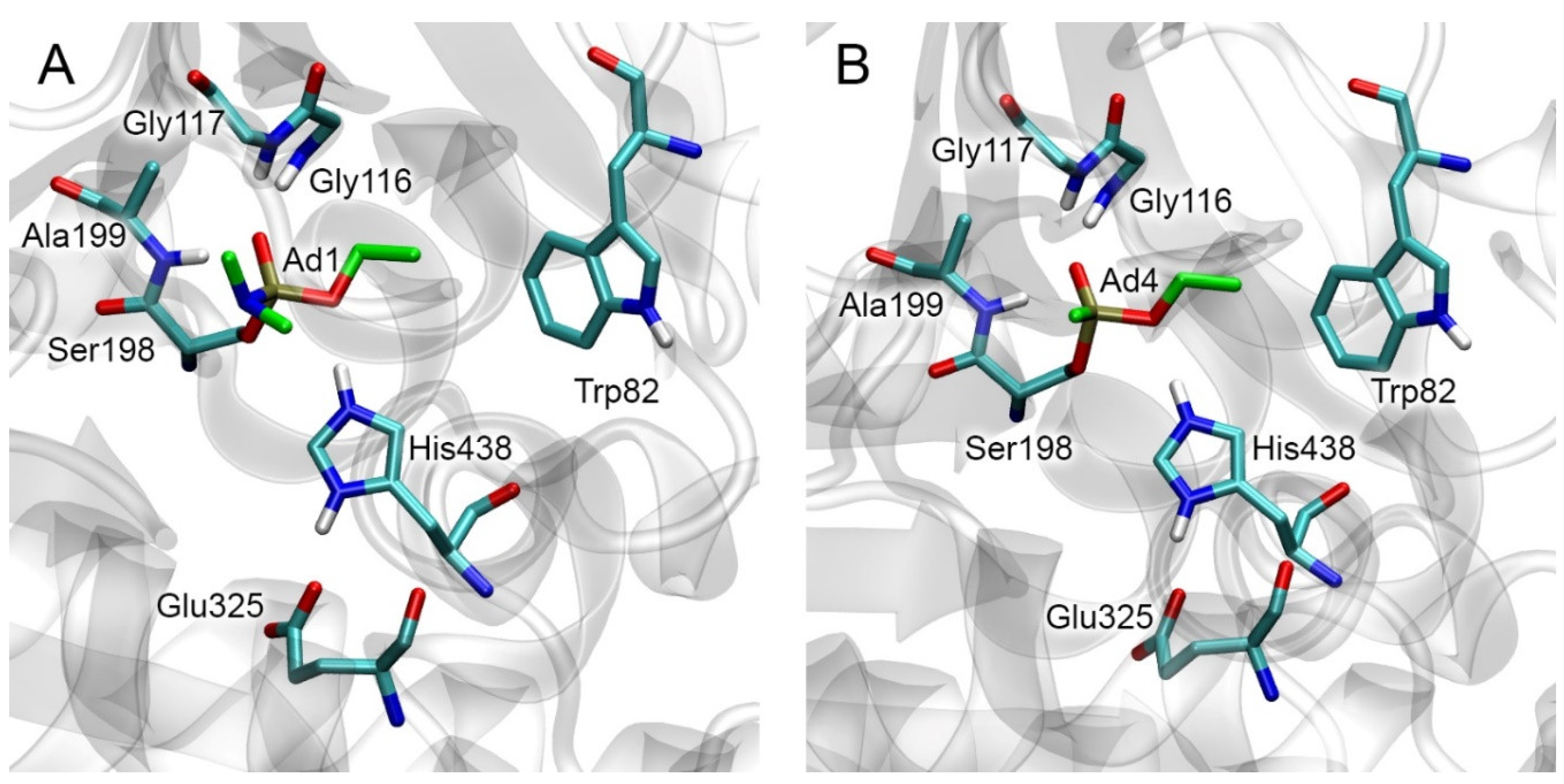 Ijms 24 14819 g003 Ijms 24 14819 g003