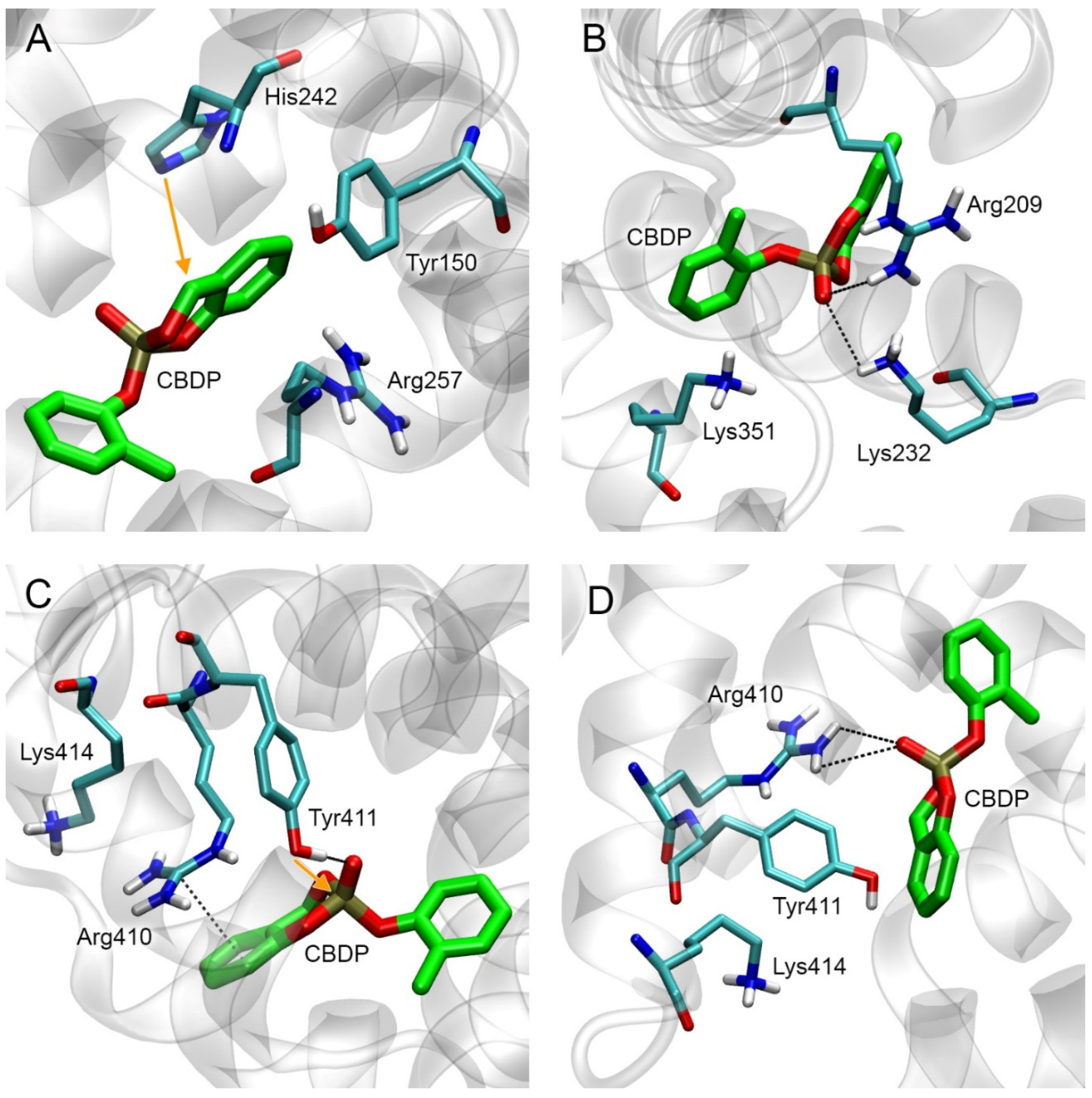 Ijms 24 14819 g007 Ijms 24 14819 g007