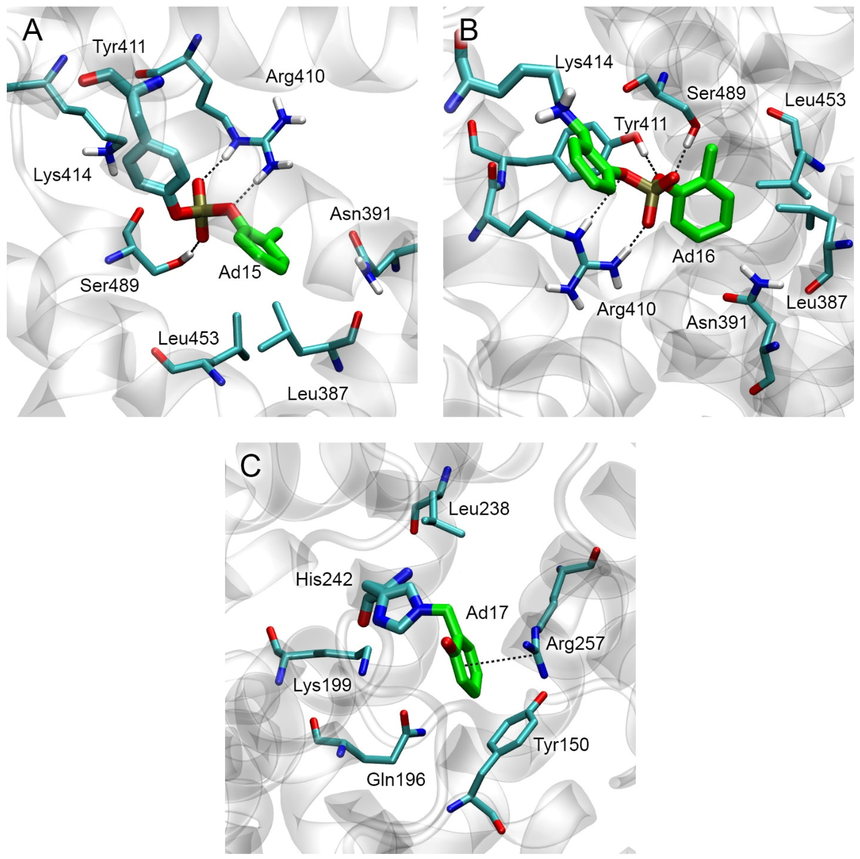Ijms 24 14819 g008 Ijms 24 14819 g008