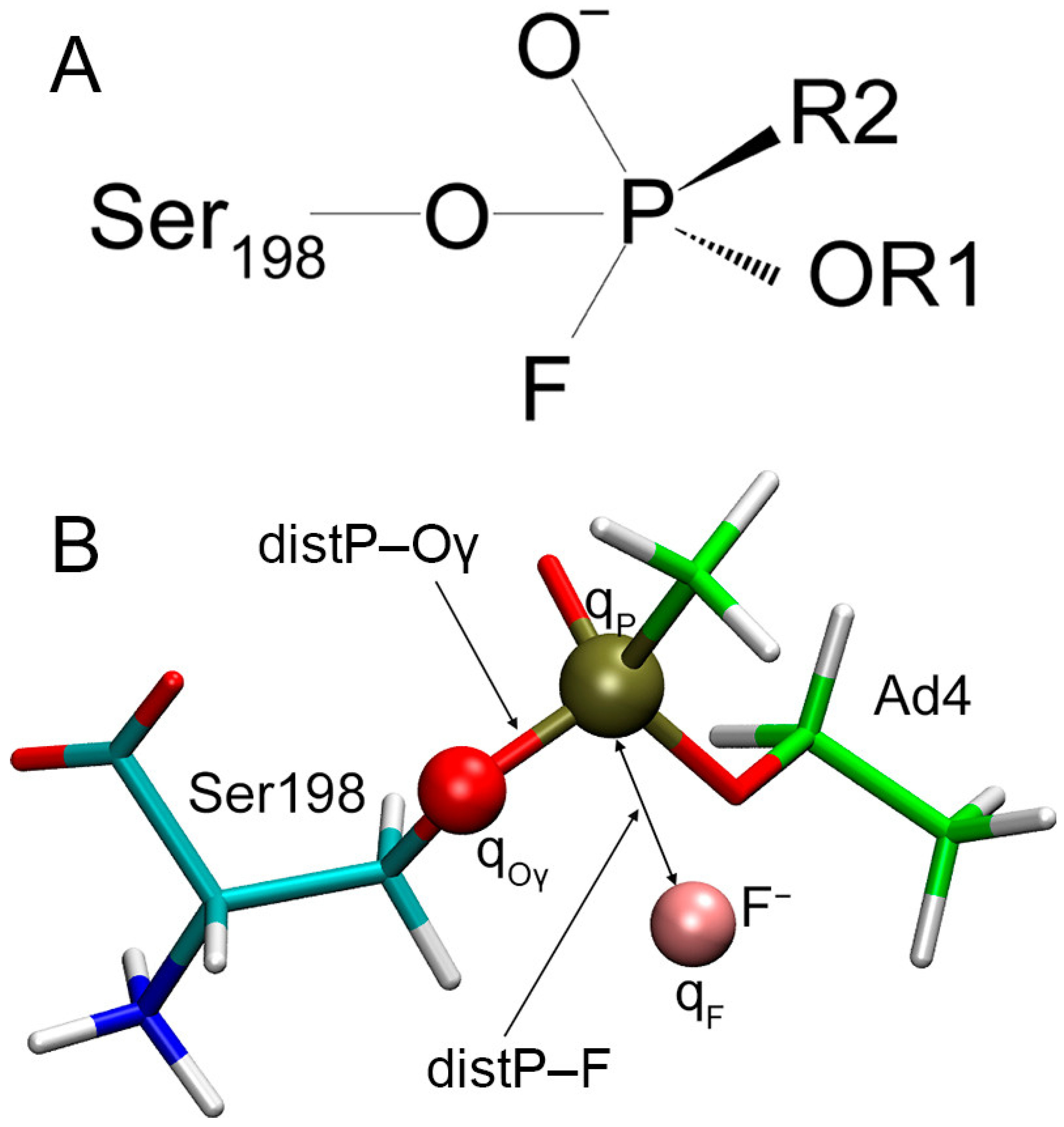 Ijms 24 14819 g012 Ijms 24 14819 g012