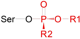 Ijms 24 14819 i001 Ijms 24 14819 i001