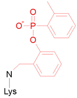 Ijms 24 14819 i005 Ijms 24 14819 i005