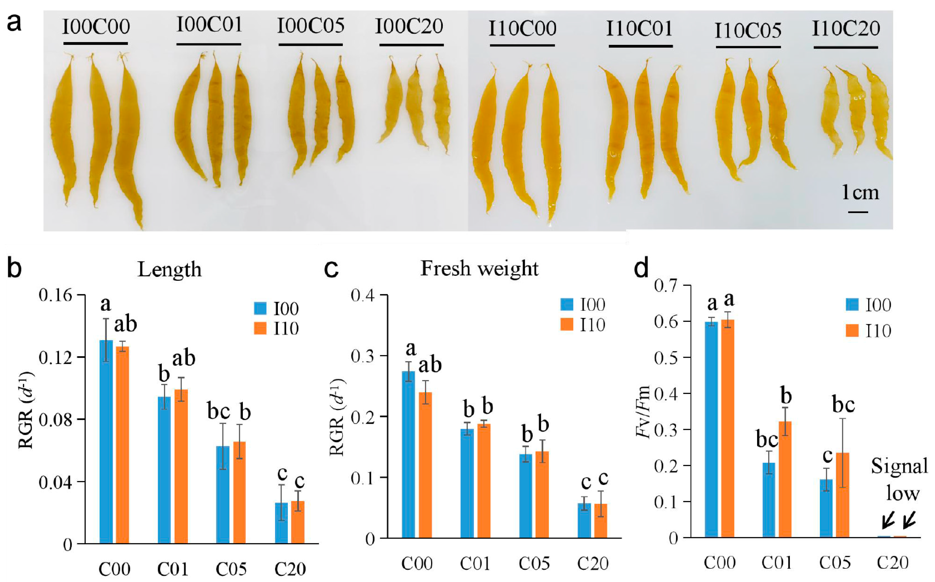 ℳ Alleviative Effect of Iodine Pretreatment on the Stress of