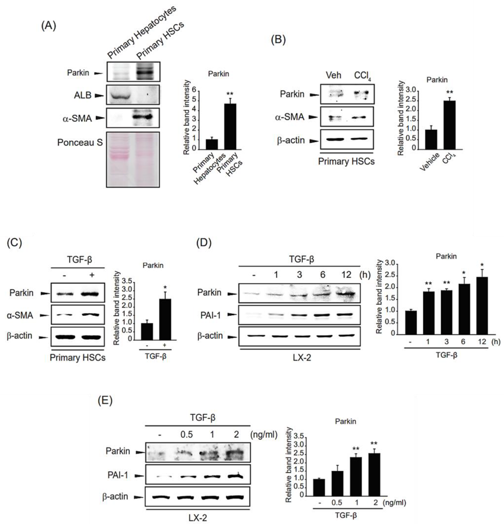 Ijms 24 14826 g002 Ijms 24 14826 g002
