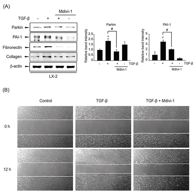 Ijms 24 14826 g006 Ijms 24 14826 g006