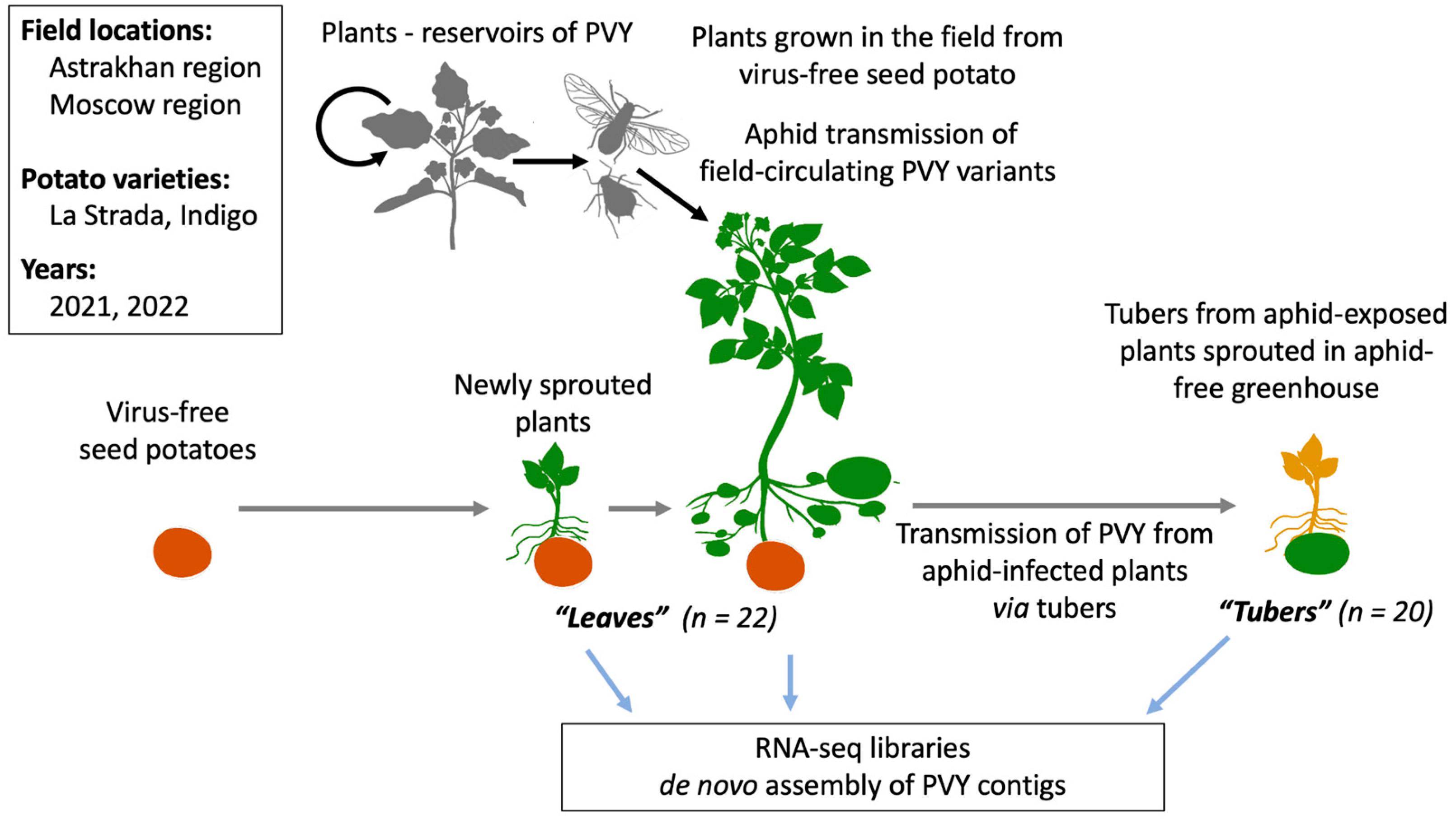 Ijms 24 14833 g001 Ijms 24 14833 g001