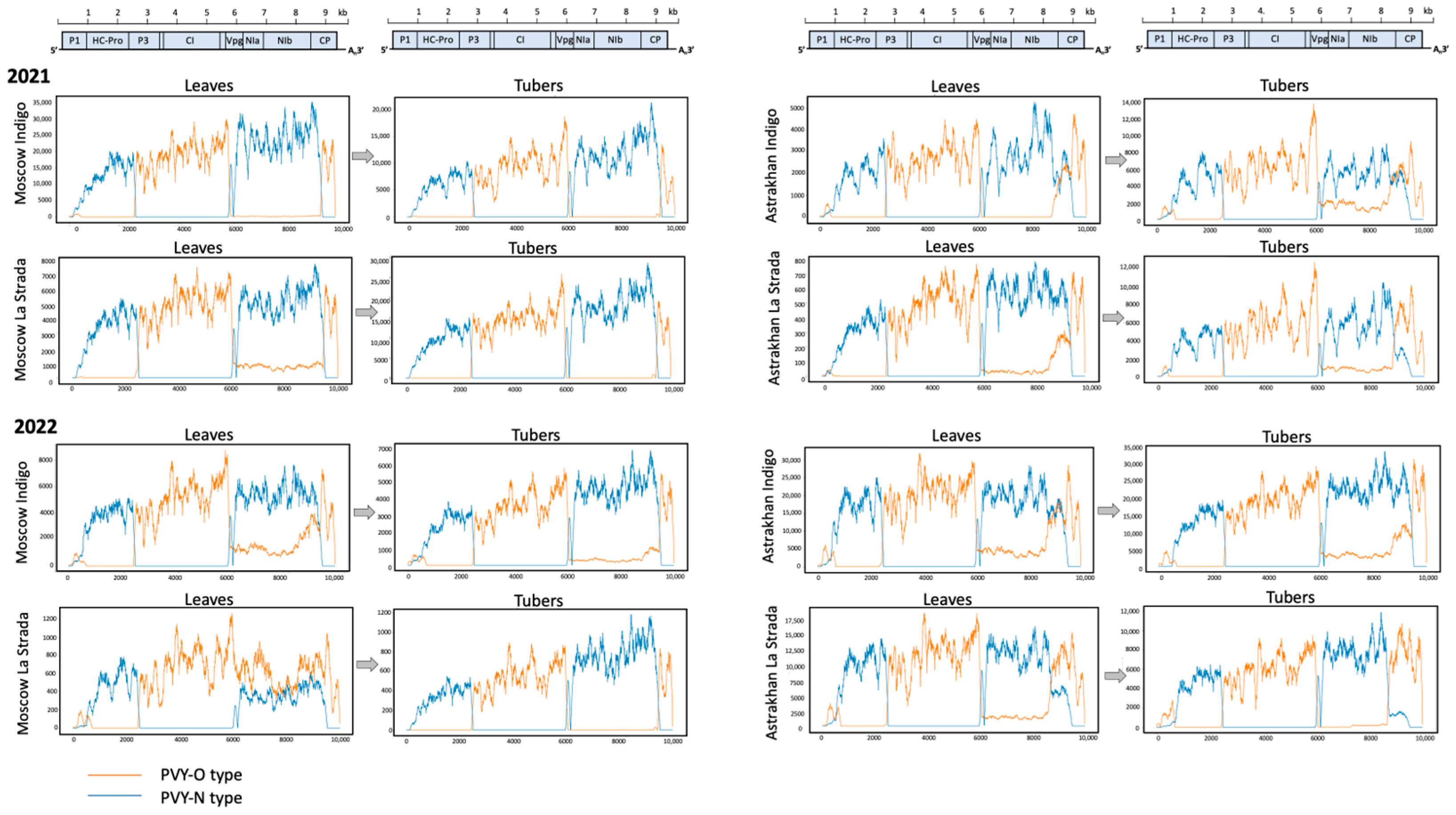 Ijms 24 14833 g003 Ijms 24 14833 g003