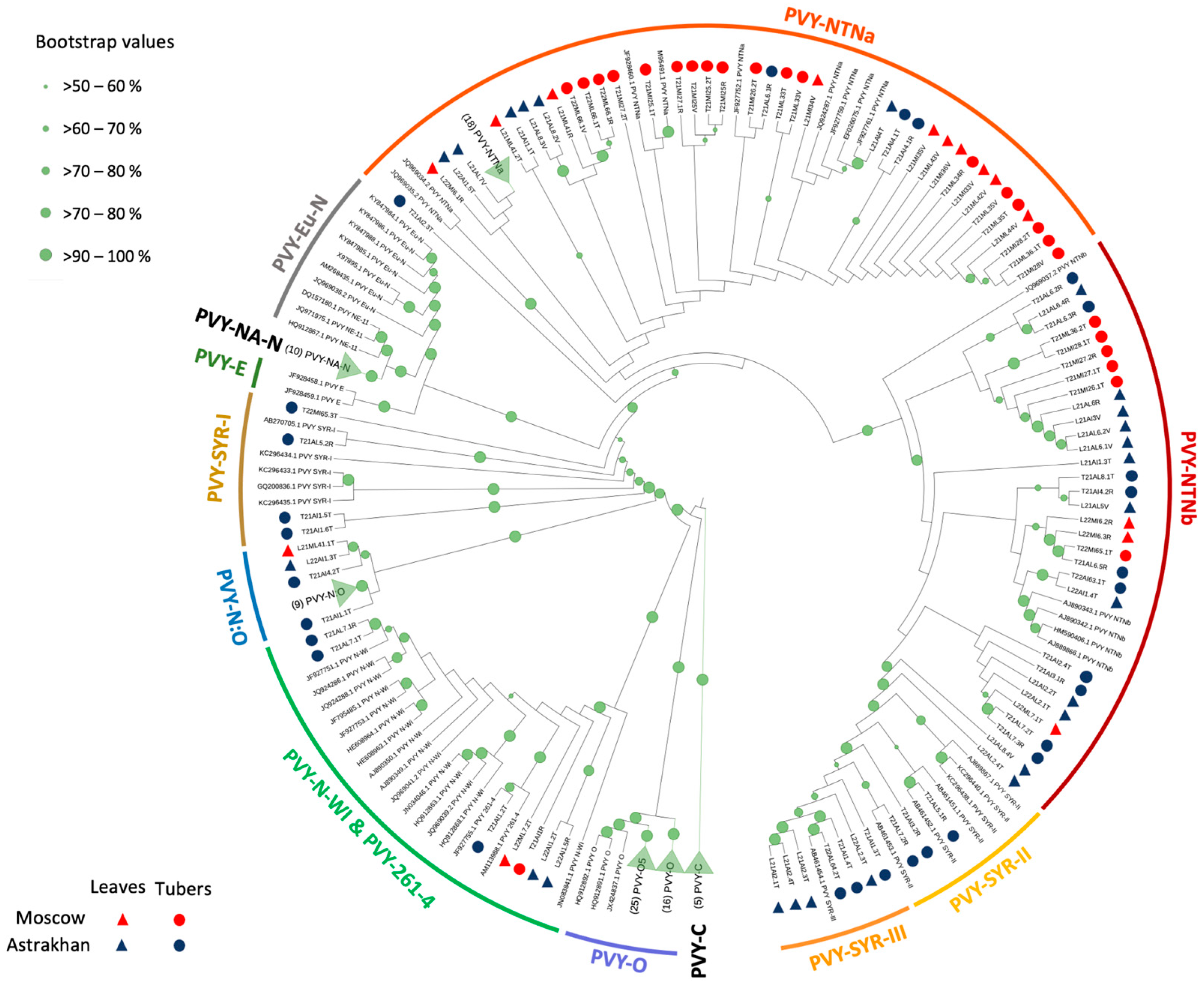 Ijms 24 14833 g004 Ijms 24 14833 g004