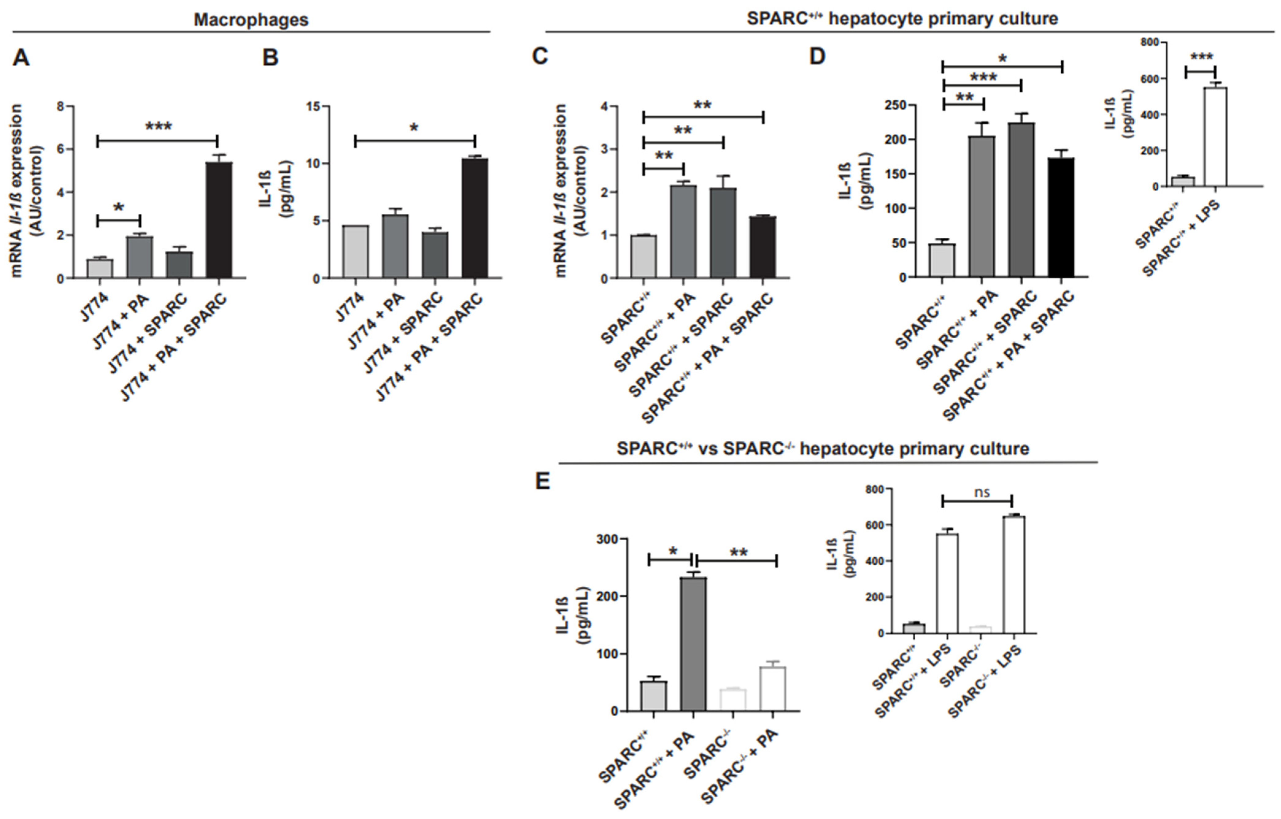 Ijms 24 14843 g001 Ijms 24 14843 g001