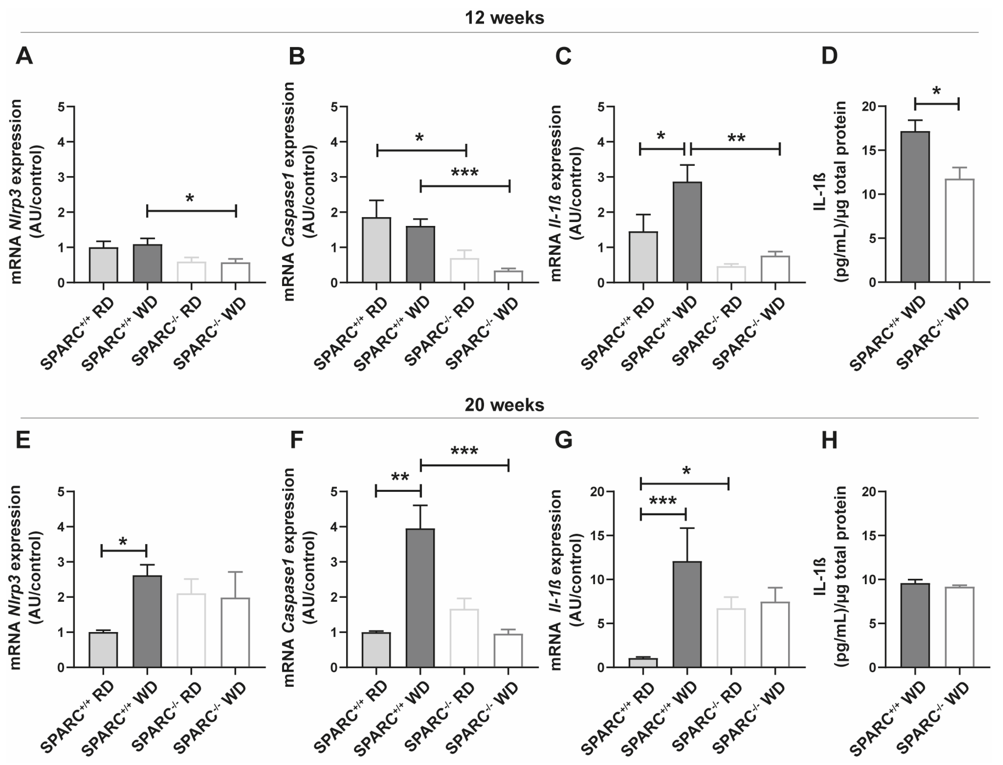 Ijms 24 14843 g002 Ijms 24 14843 g002