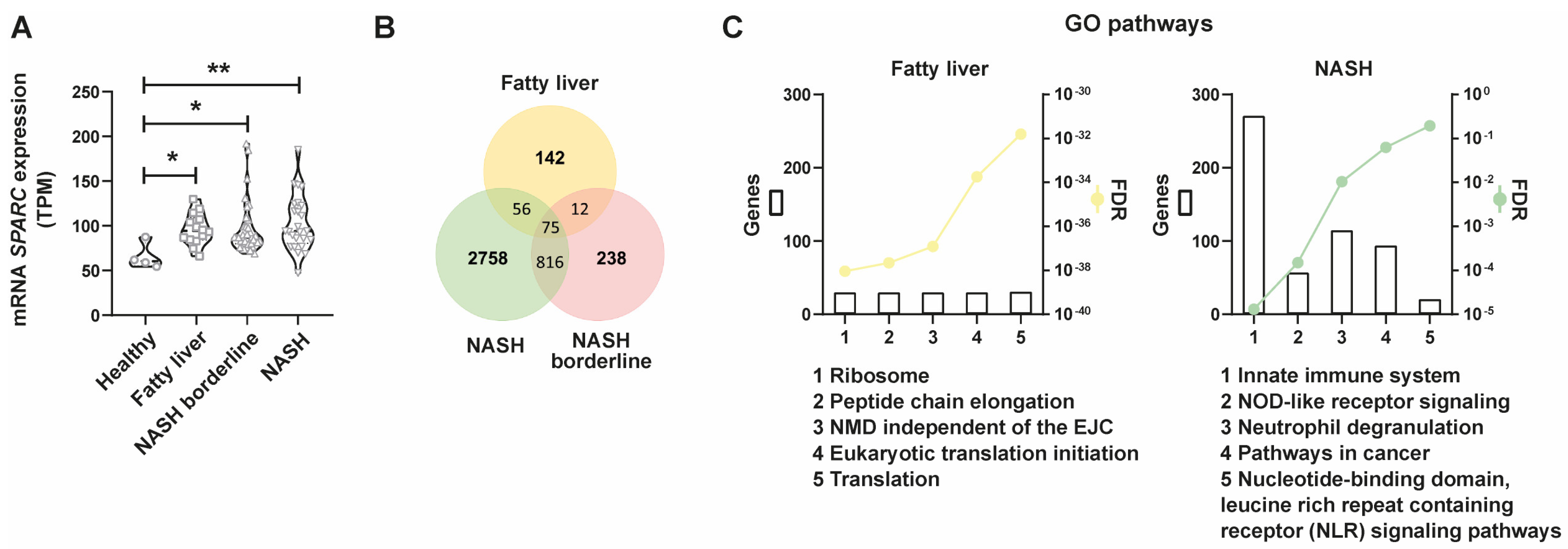 Ijms 24 14843 g003 Ijms 24 14843 g003
