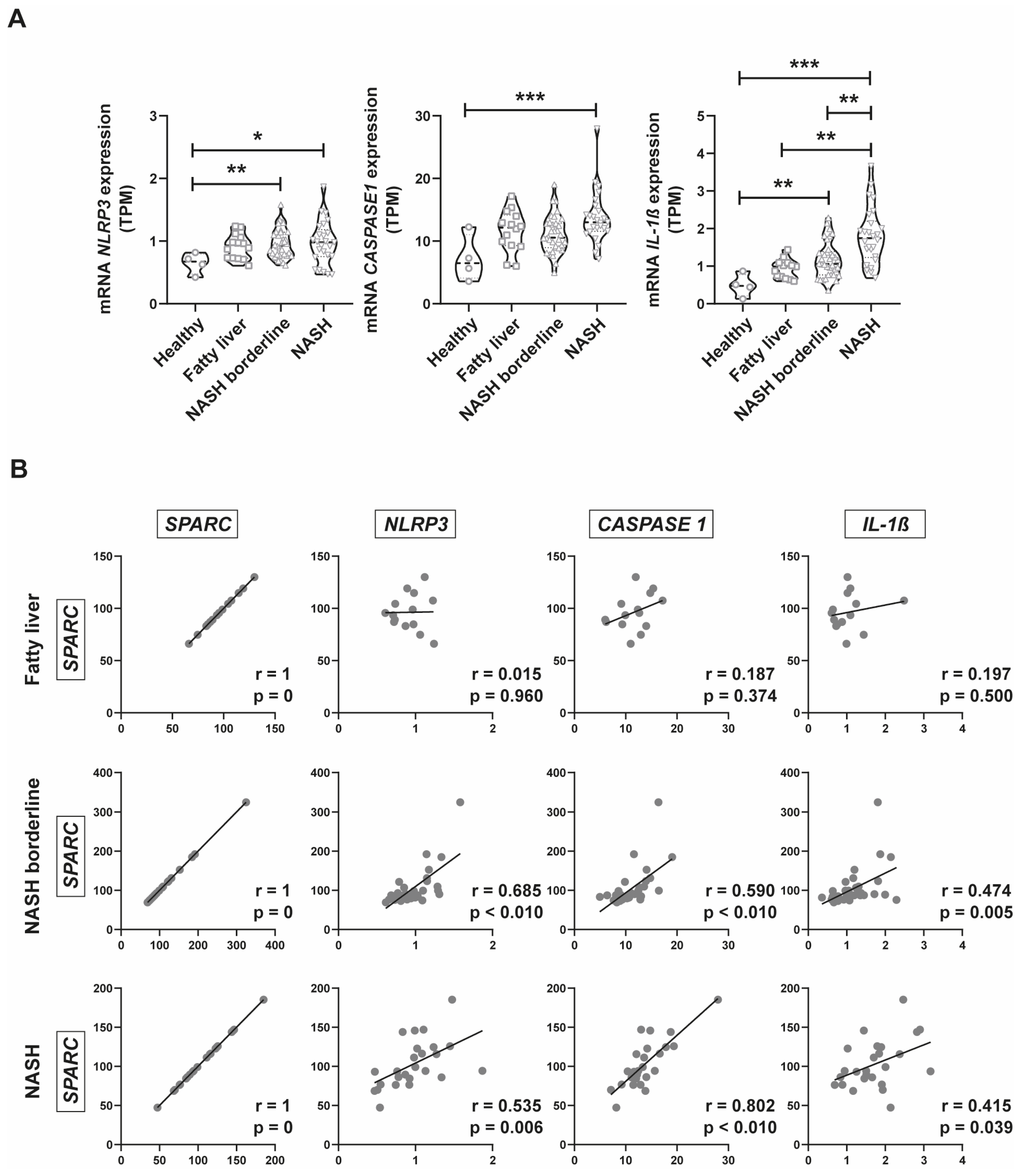 Ijms 24 14843 g004 Ijms 24 14843 g004
