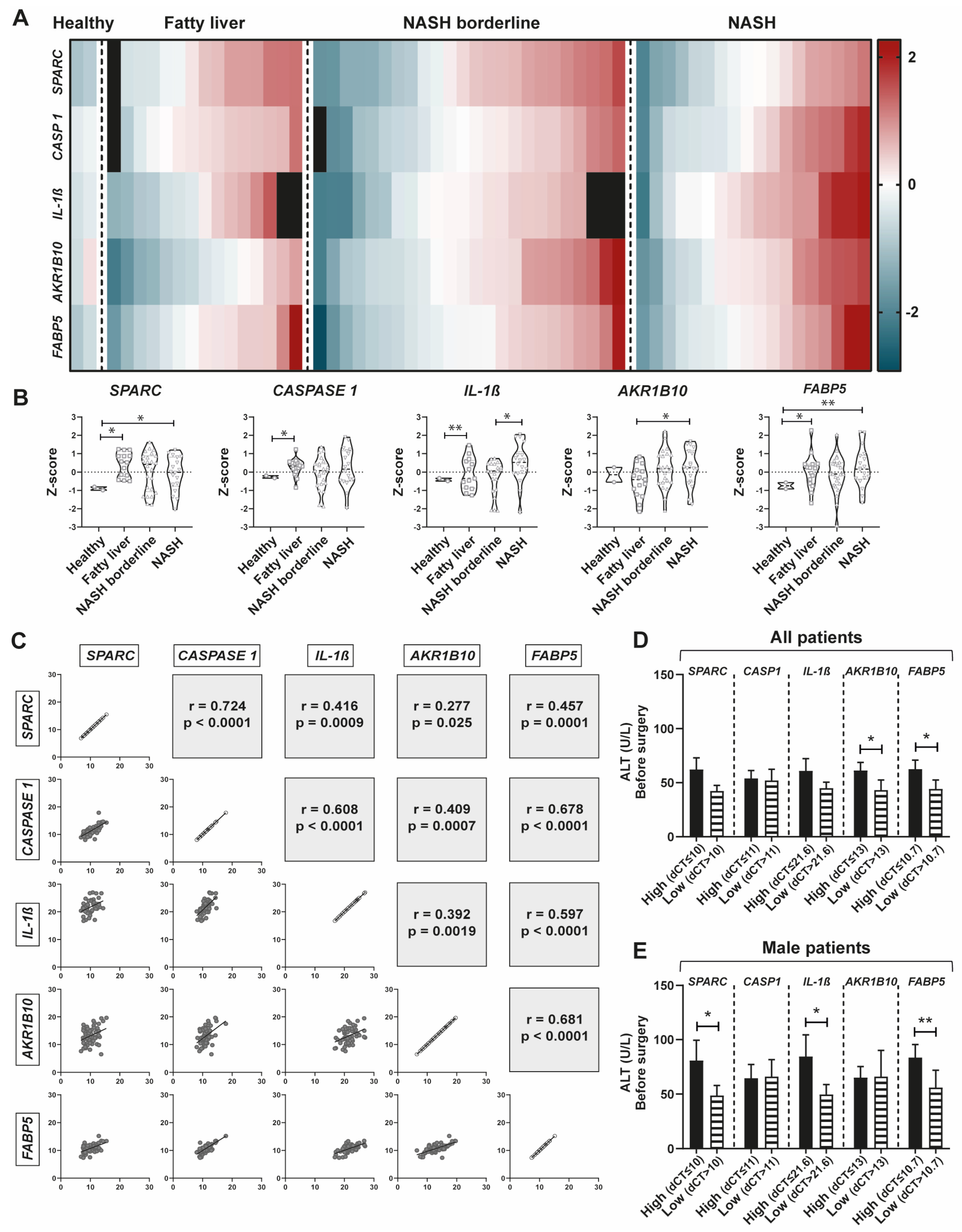Ijms 24 14843 g006 Ijms 24 14843 g006
