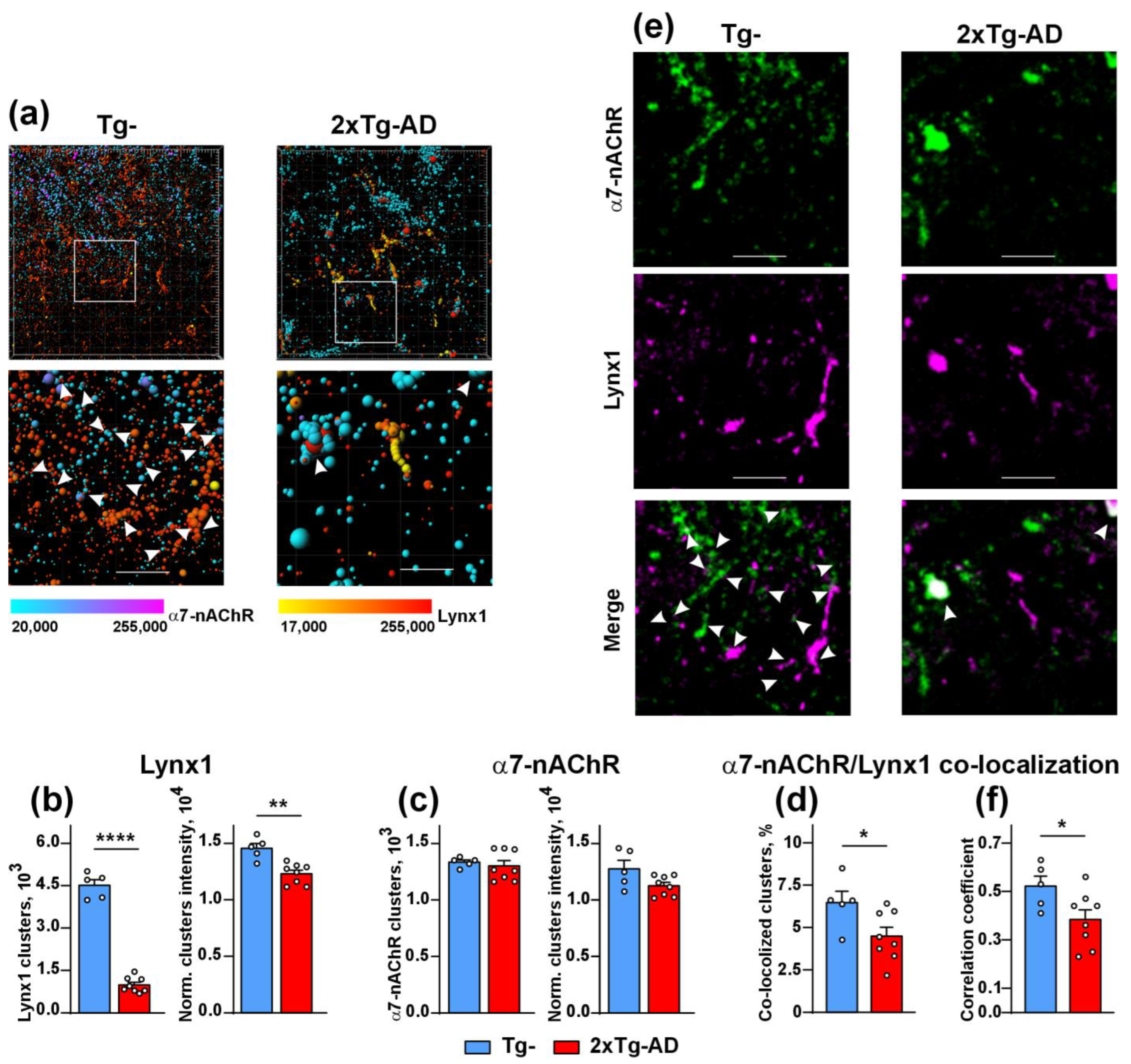Ijms 24 14852 g002 Ijms 24 14852 g002