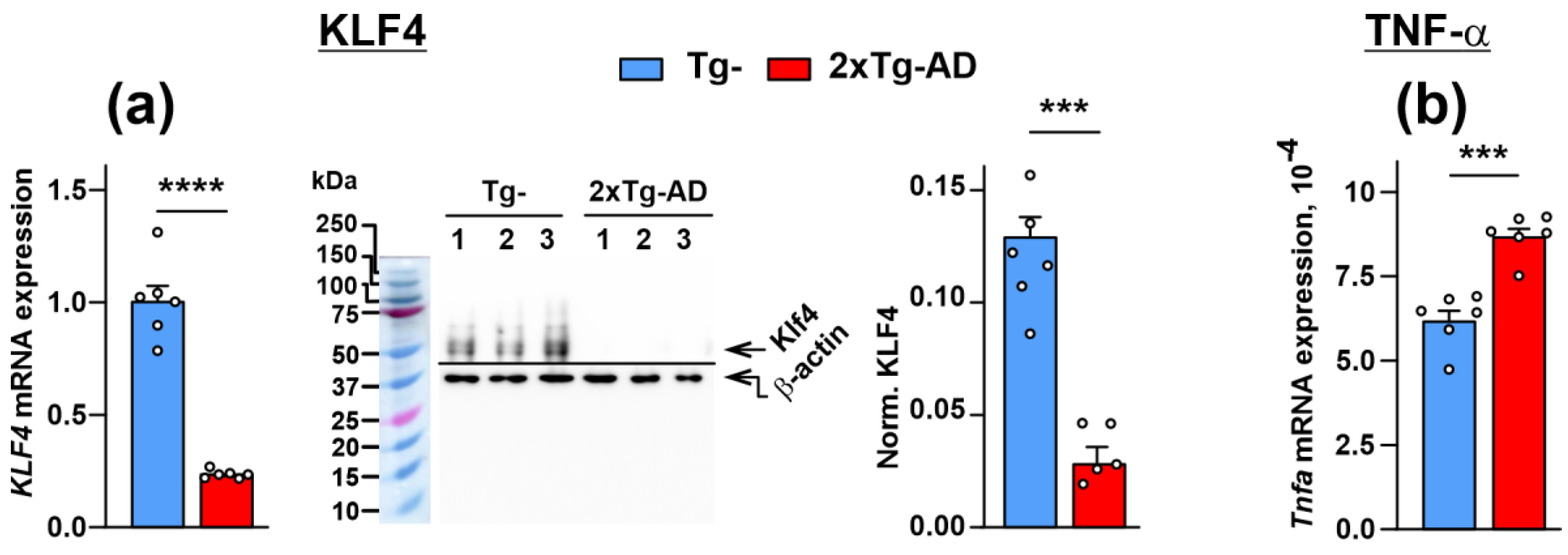 Ijms 24 14852 g005 Ijms 24 14852 g005