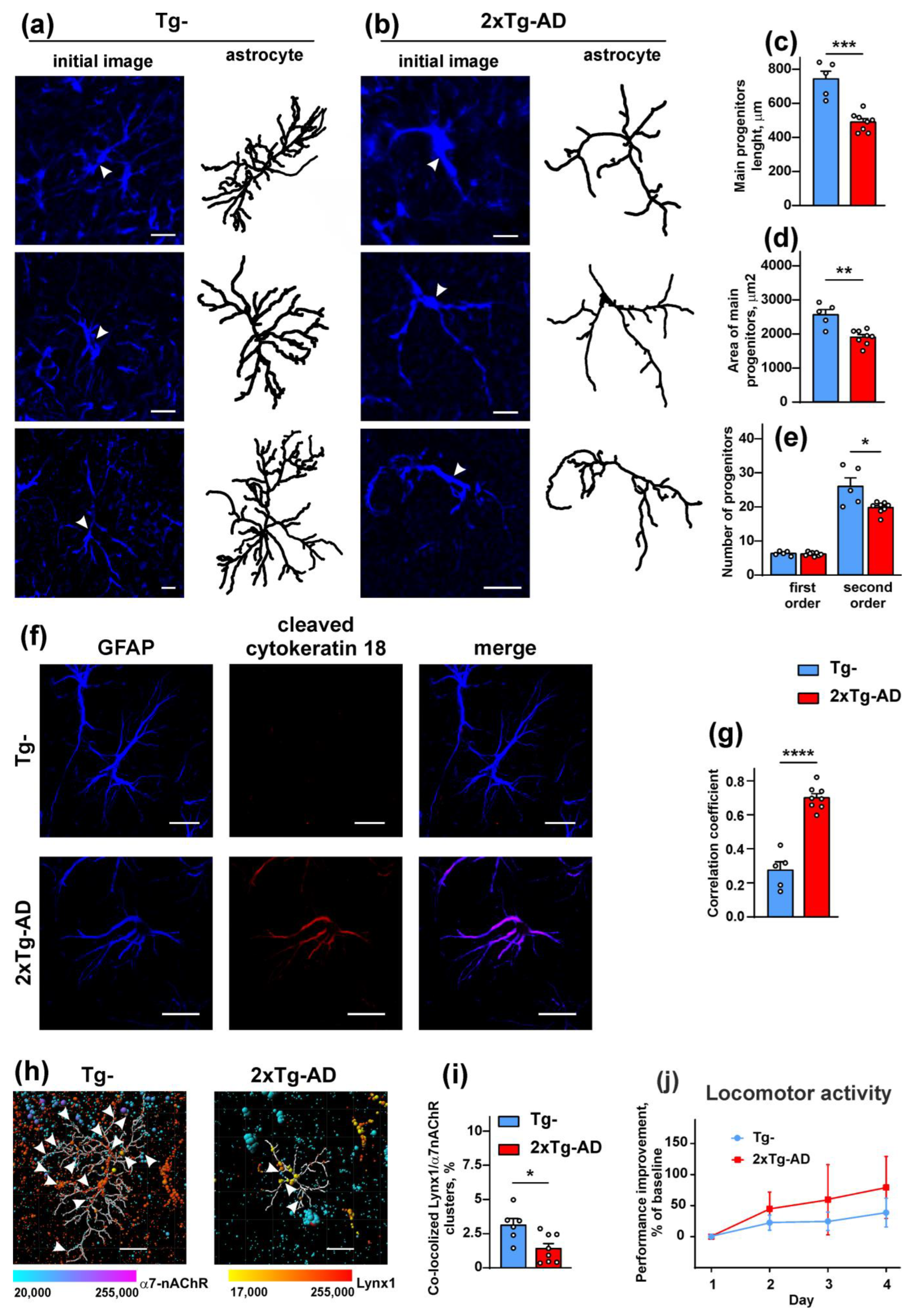 Ijms 24 14852 g006 Ijms 24 14852 g006