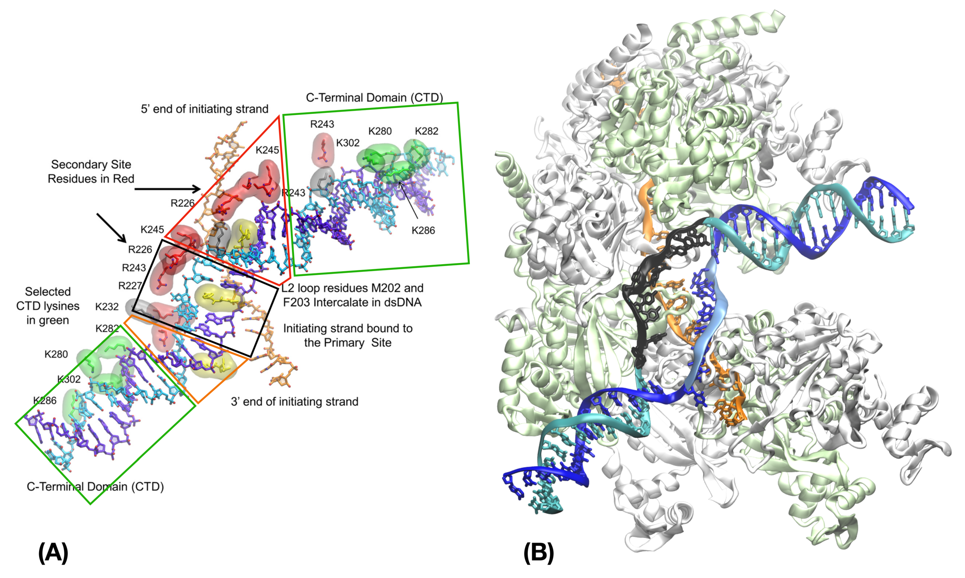 Ijms 24 14896 g004 Ijms 24 14896 g004