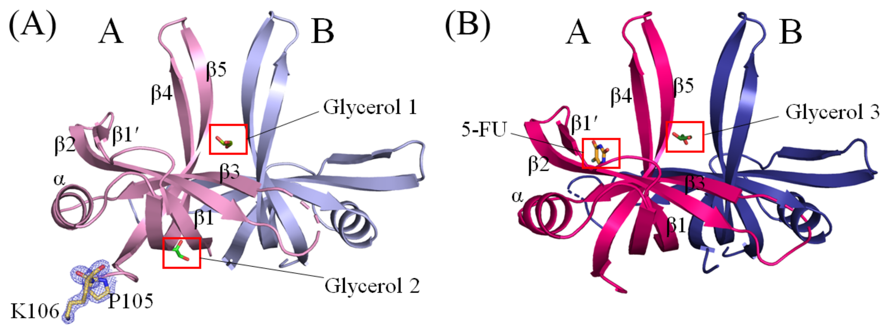 Ijms 24 14899 g002 Ijms 24 14899 g002