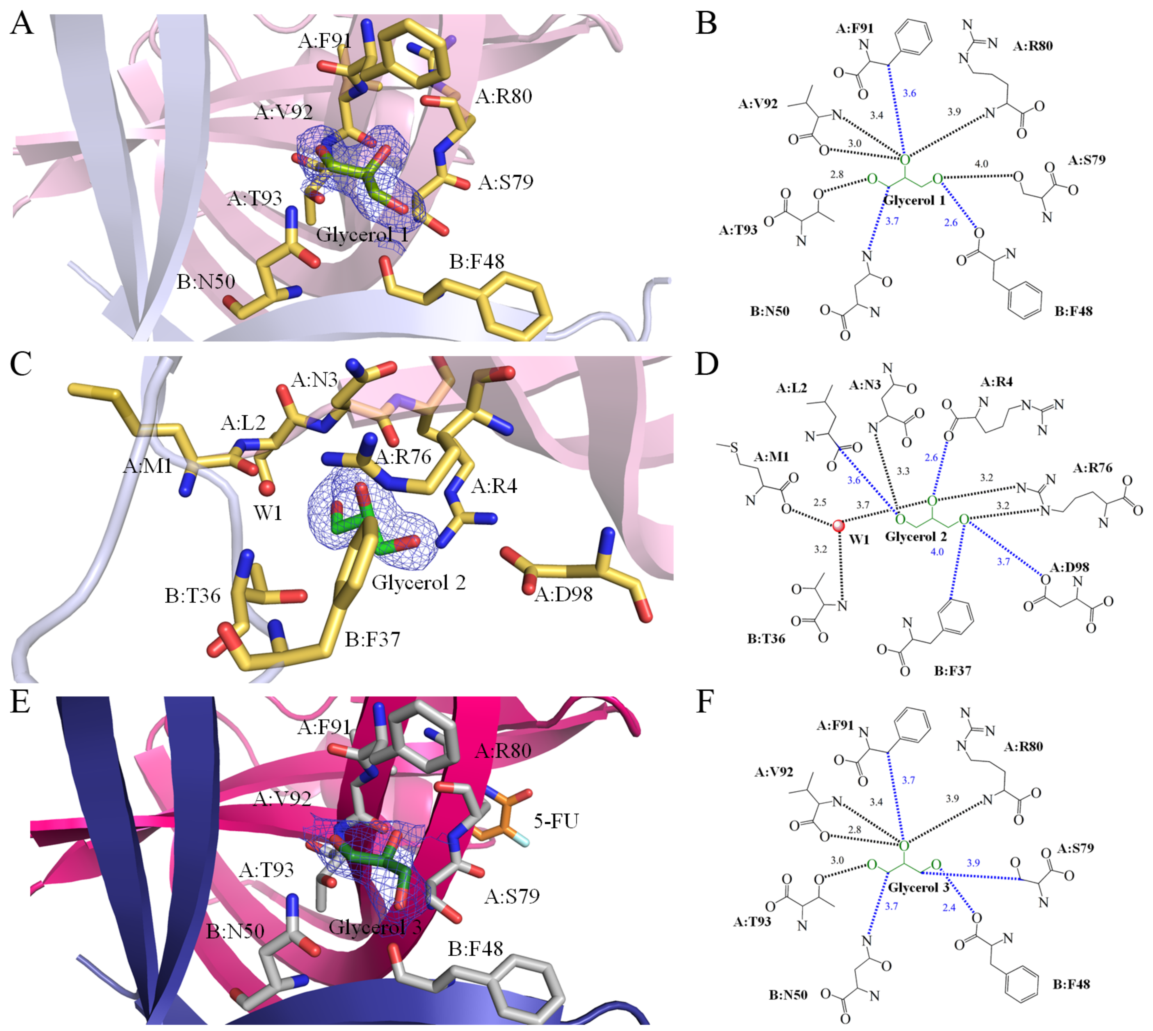Ijms 24 14899 g003 Ijms 24 14899 g003
