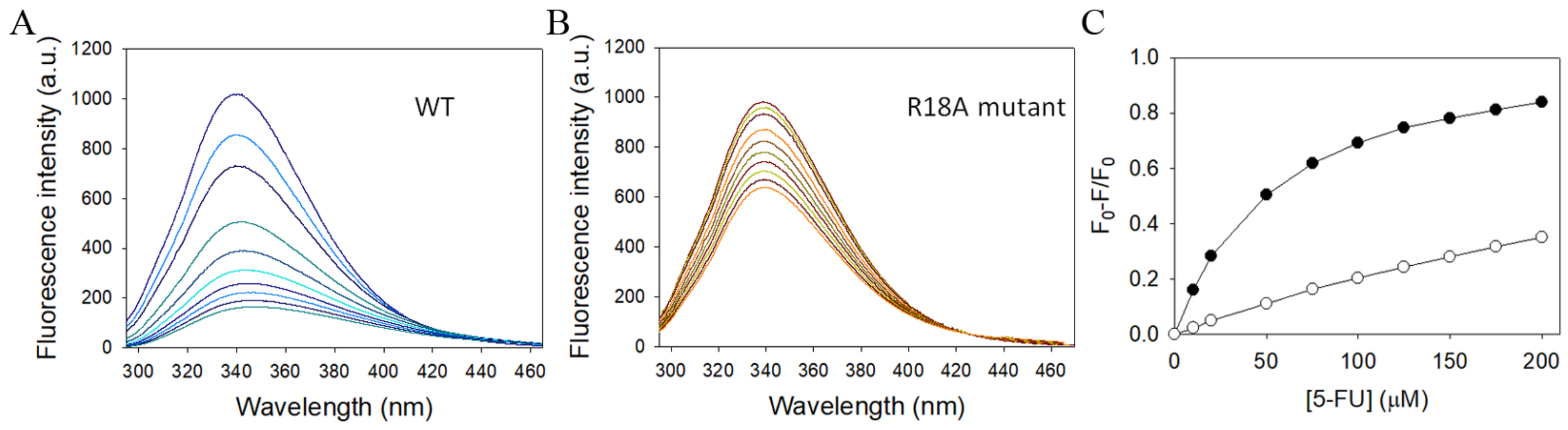 Ijms 24 14899 g006 Ijms 24 14899 g006