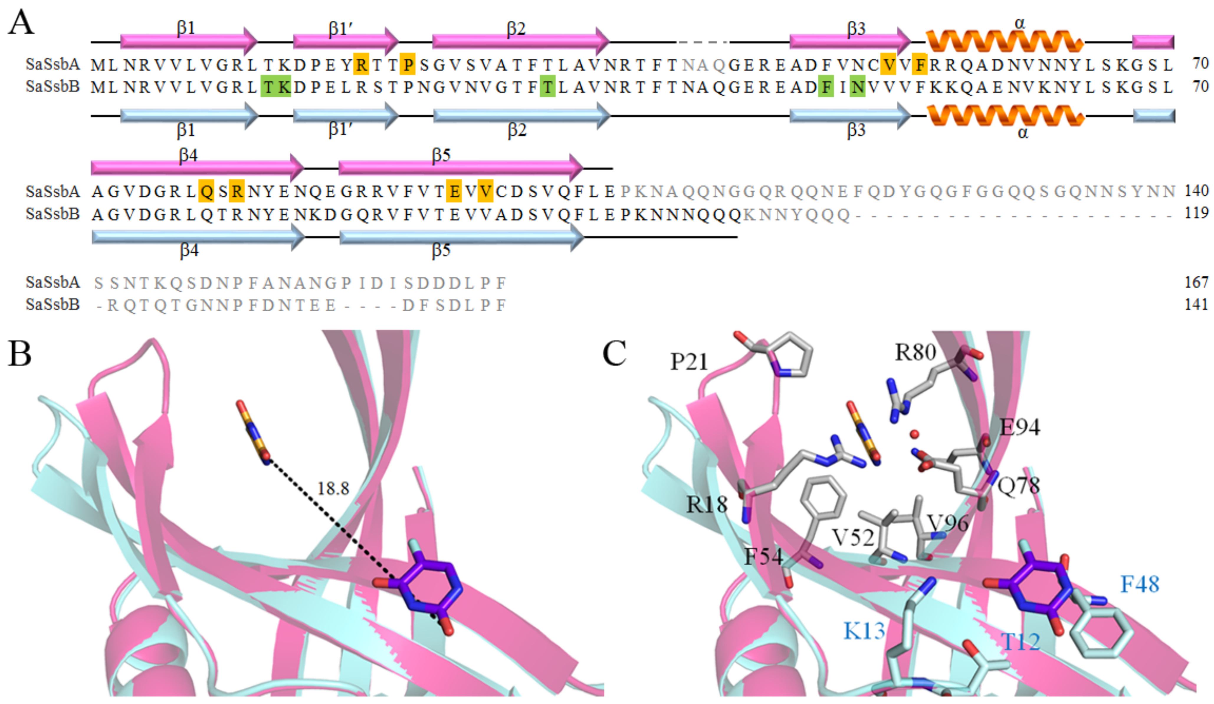 Ijms 24 14899 g007 Ijms 24 14899 g007