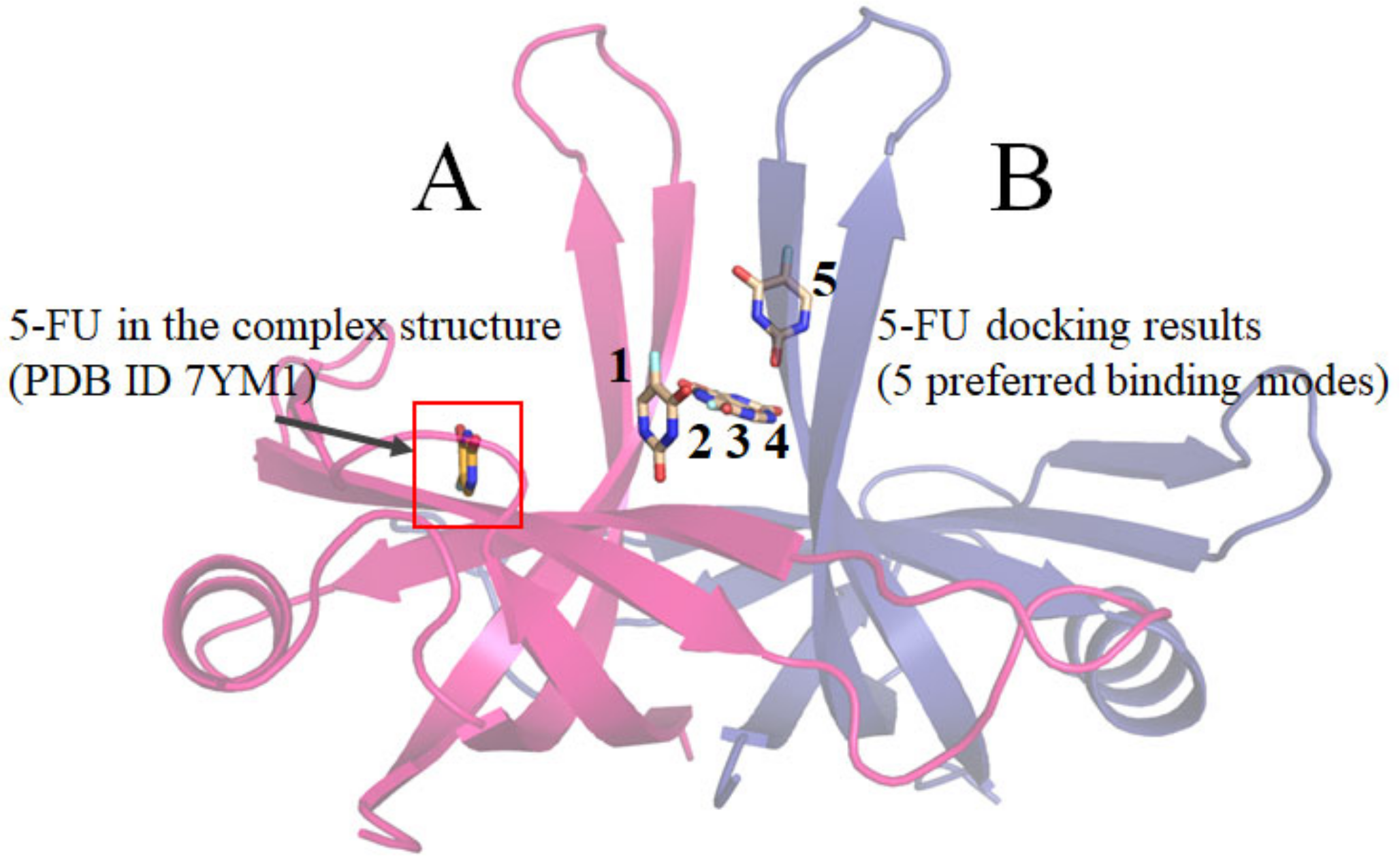 Ijms 24 14899 g008 Ijms 24 14899 g008