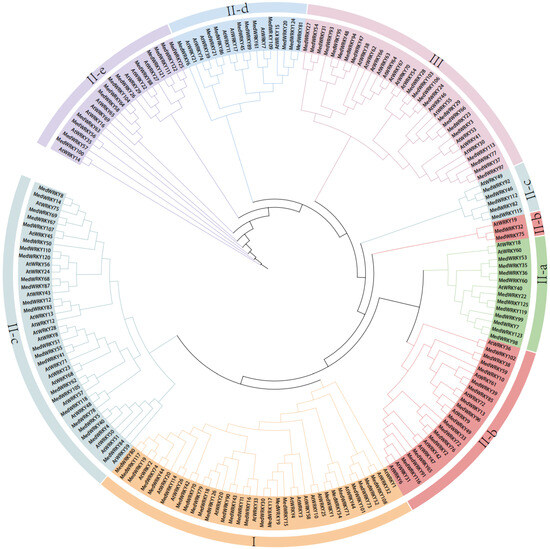 Genome-Wide Identification and Analysis of WRKY Gene Family in ...