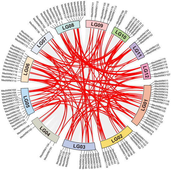 Genome-Wide Identification and Analysis of WRKY Gene Family in ...