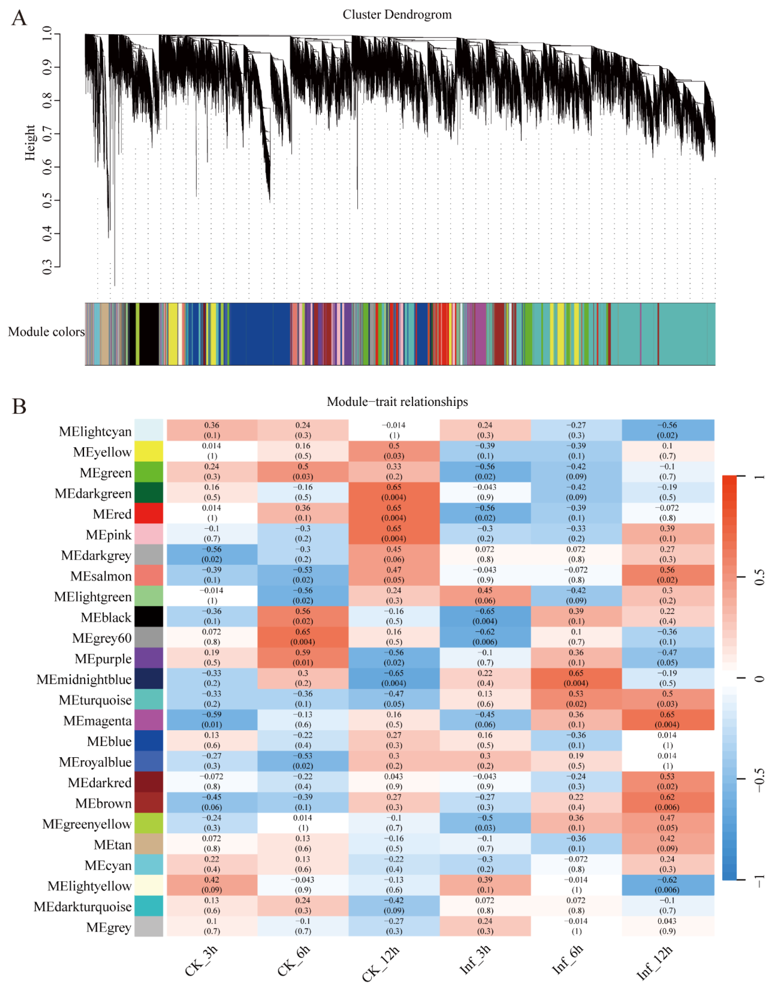 定番のお歳暮&冬ギフトの商品をすべ Characterization Genome-Wide of WRKY L.) mays (Zea Maize the バッグ